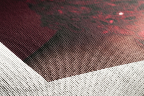 Materiał płótno canvas