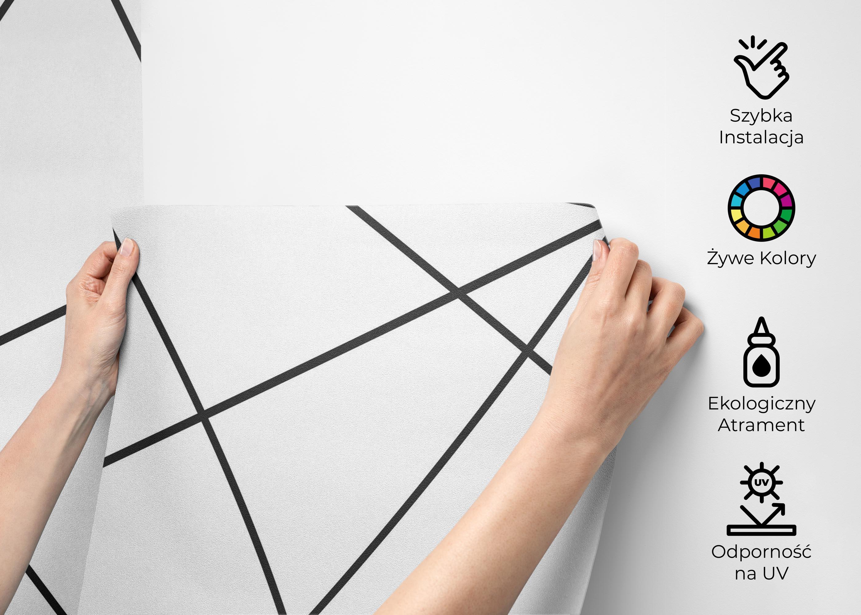 Fototapeta Black Triangle Cut mockup 2