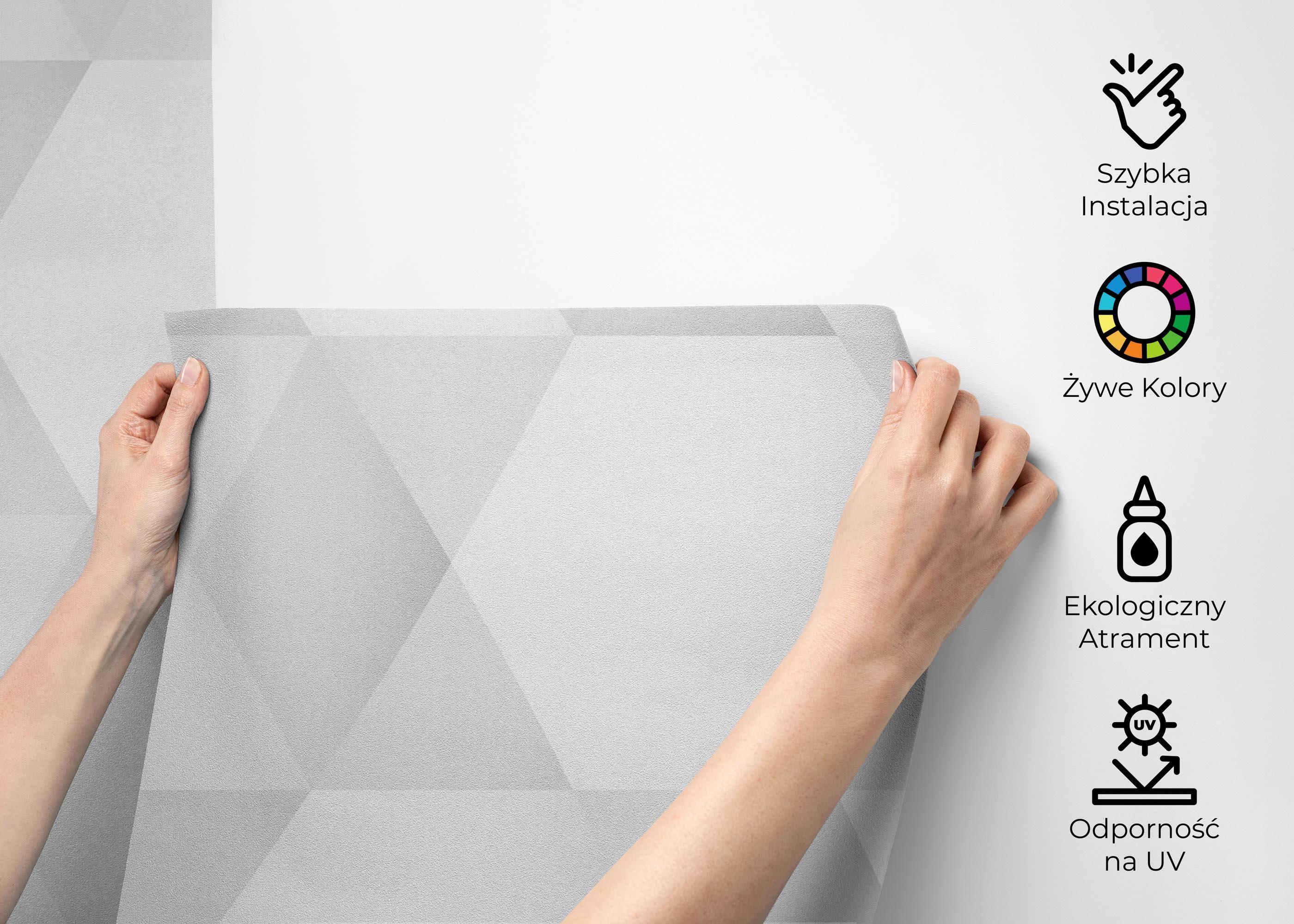 Fototapeta Grey Hexagonal Art mockup 2