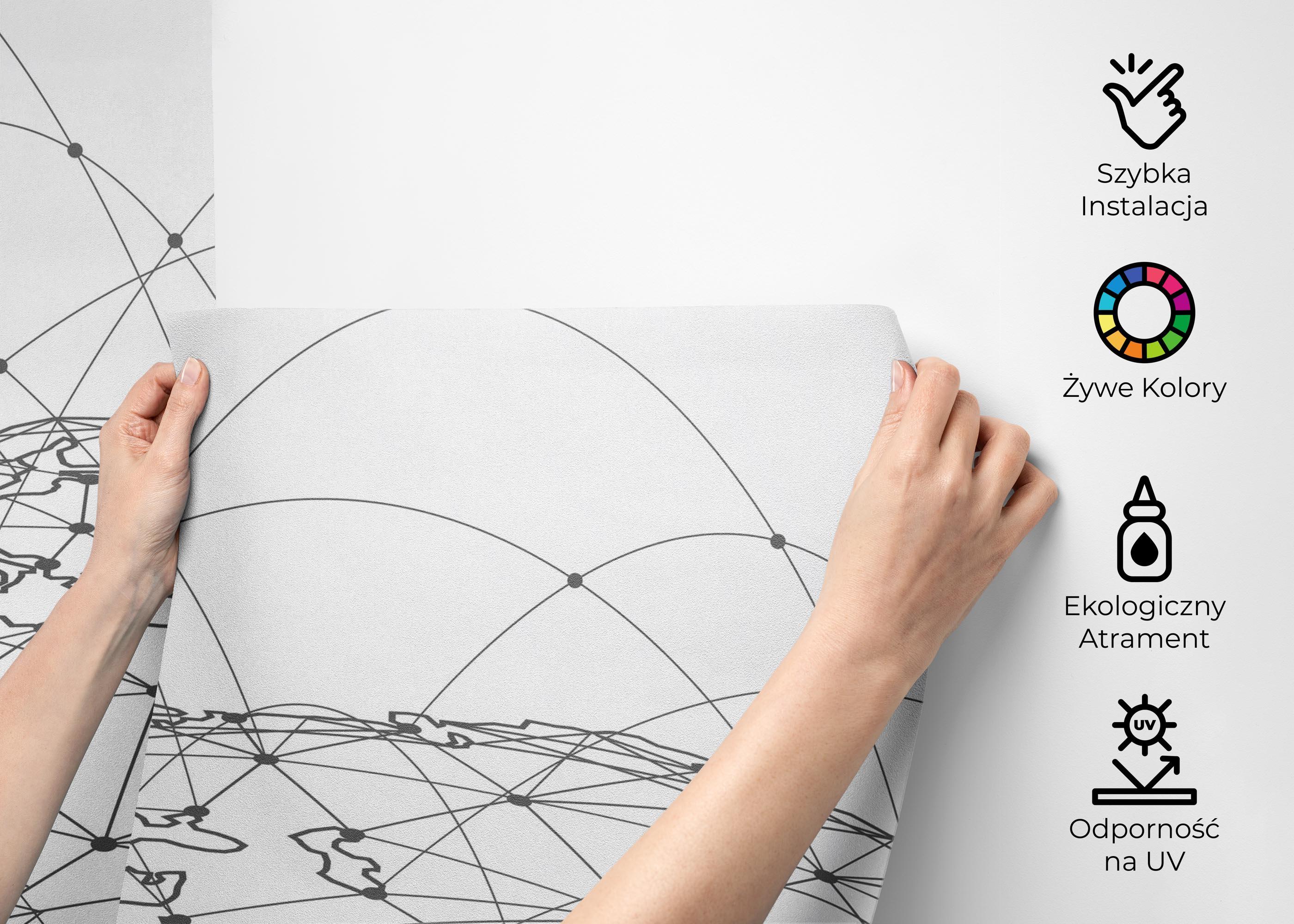 Fototapeta Global_network mockup 2