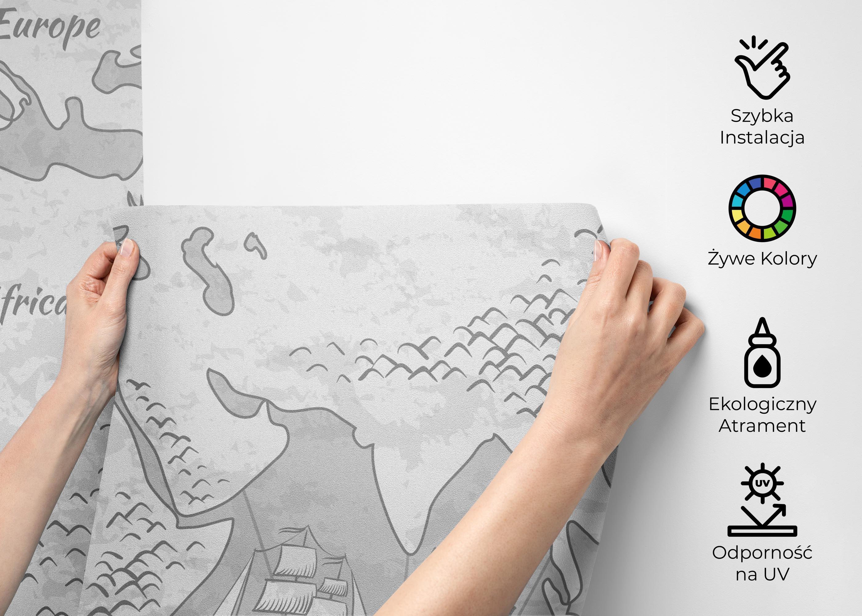 Fototapeta Light Grey Map mockup 2