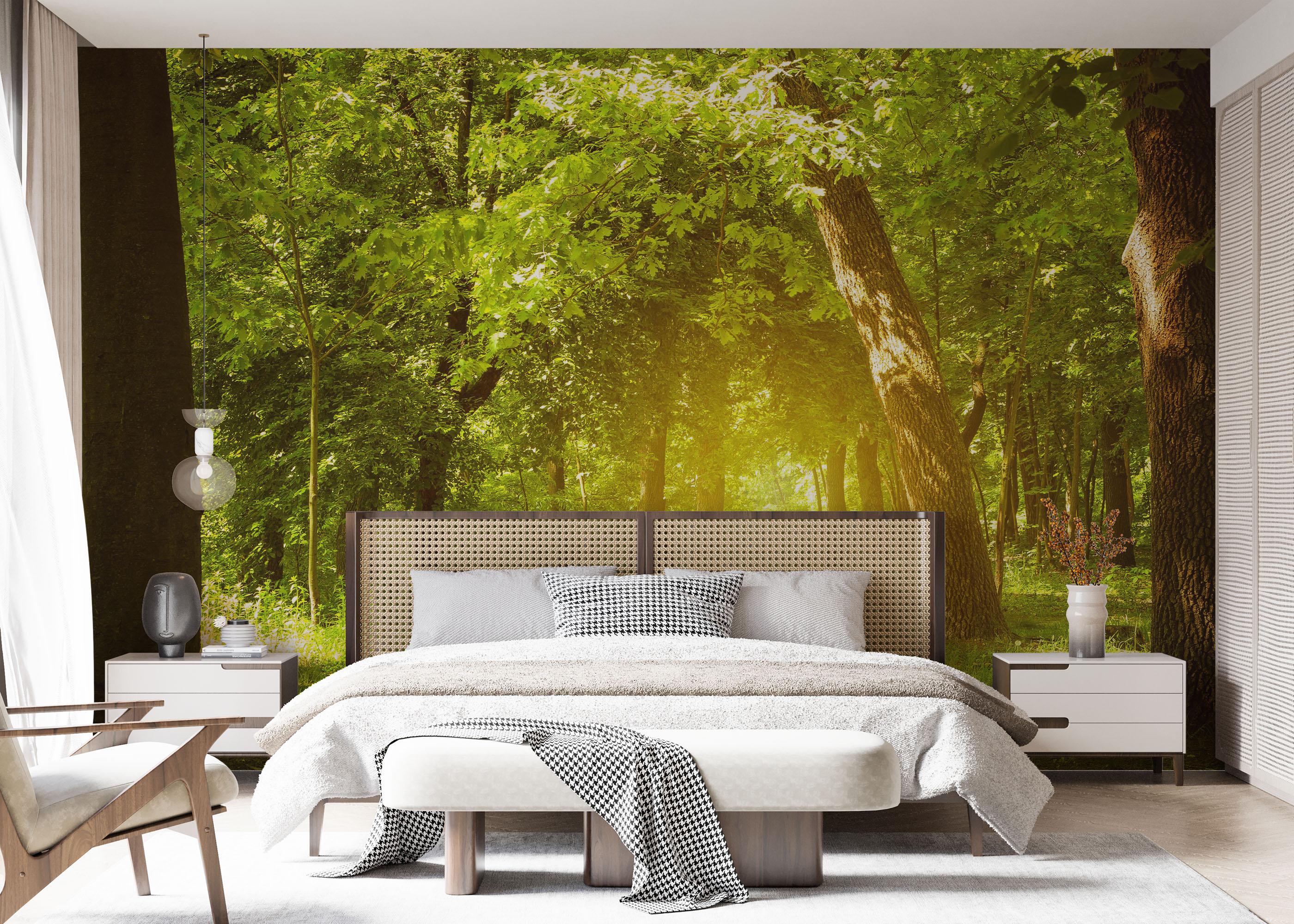 Fototapeta Forest Road mockup 7