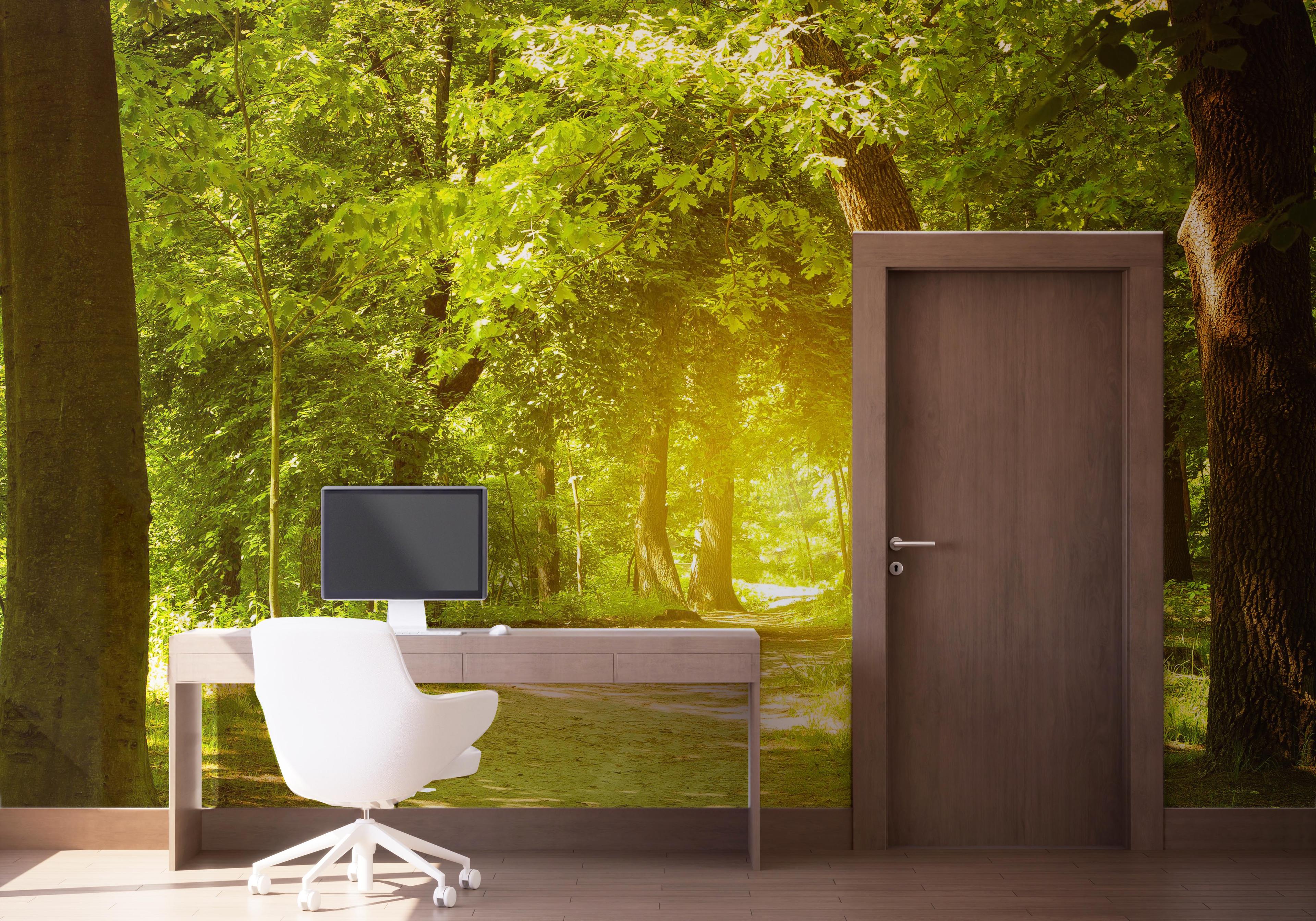 Fototapeta Forest Road mockup 1