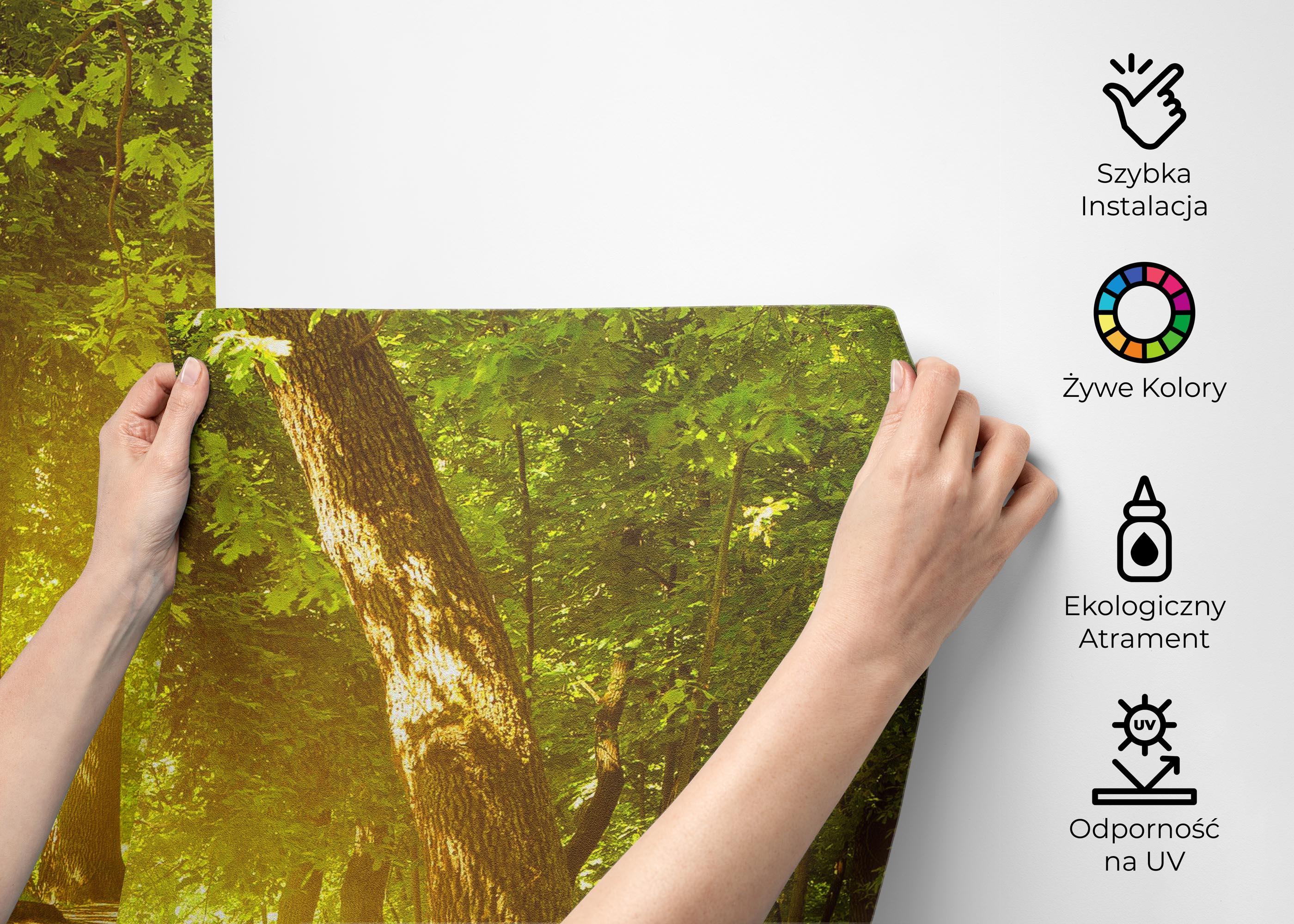 Fototapeta Forest Road mockup 2