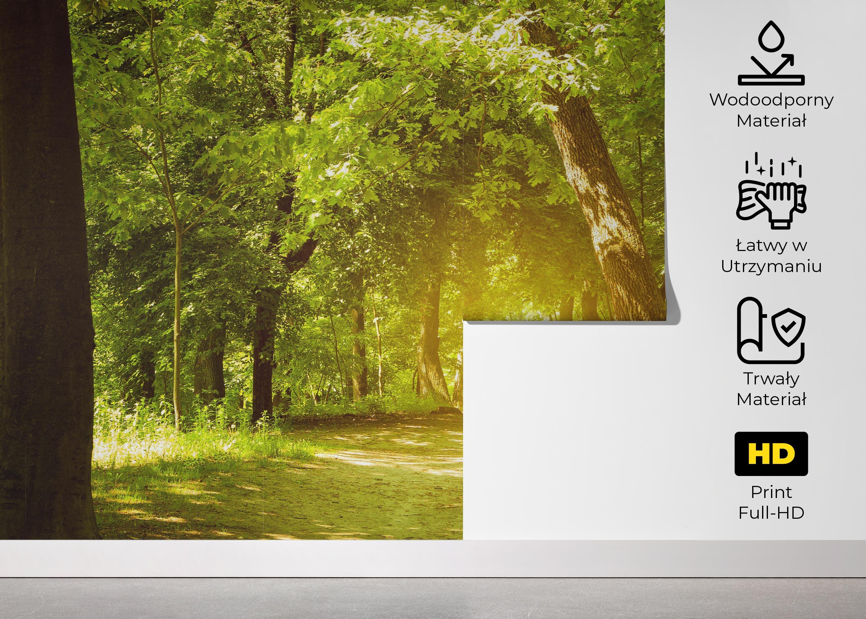 Fototapeta Forest Road mockup 5