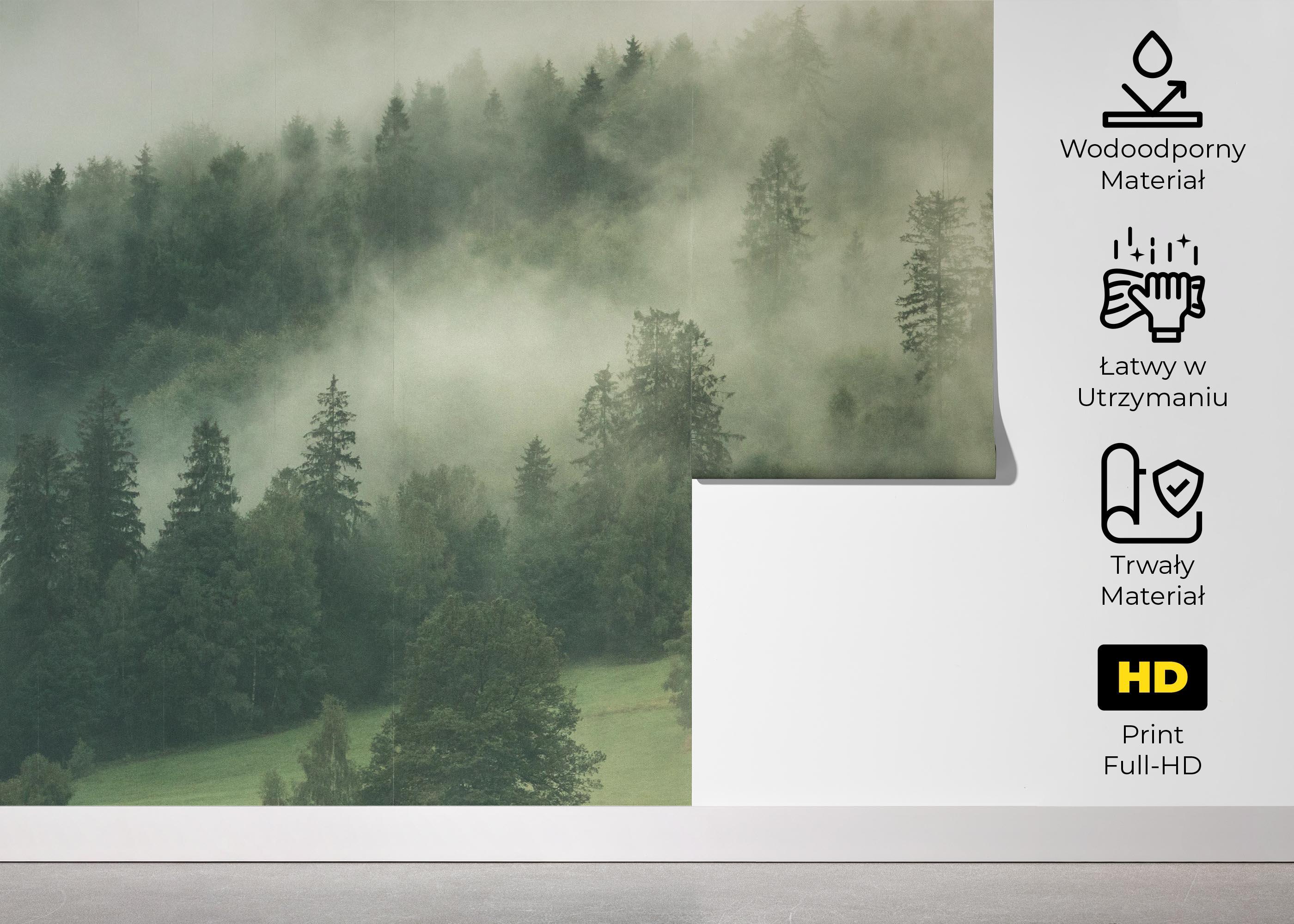 Fototapeta Green Forest Fog mockup 5