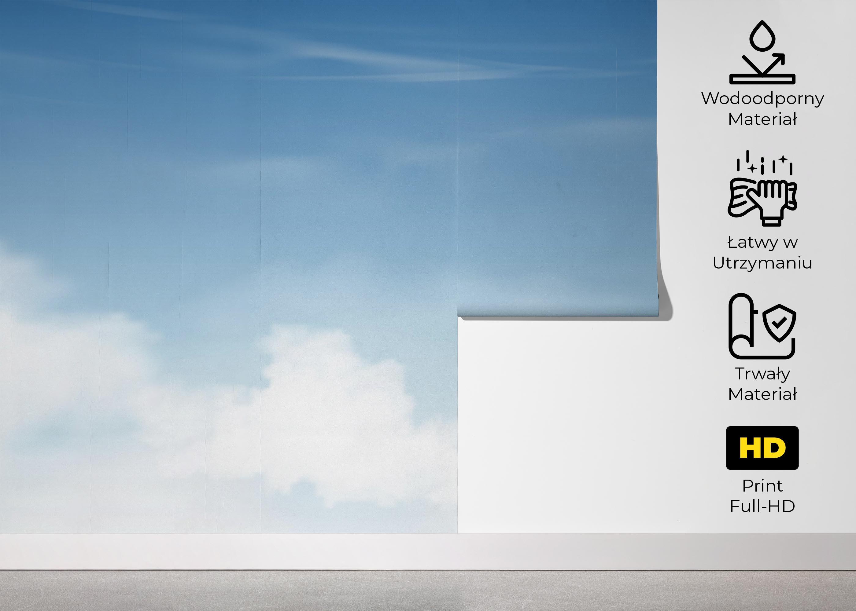 Fototapeta Light Blue Sky mockup 5