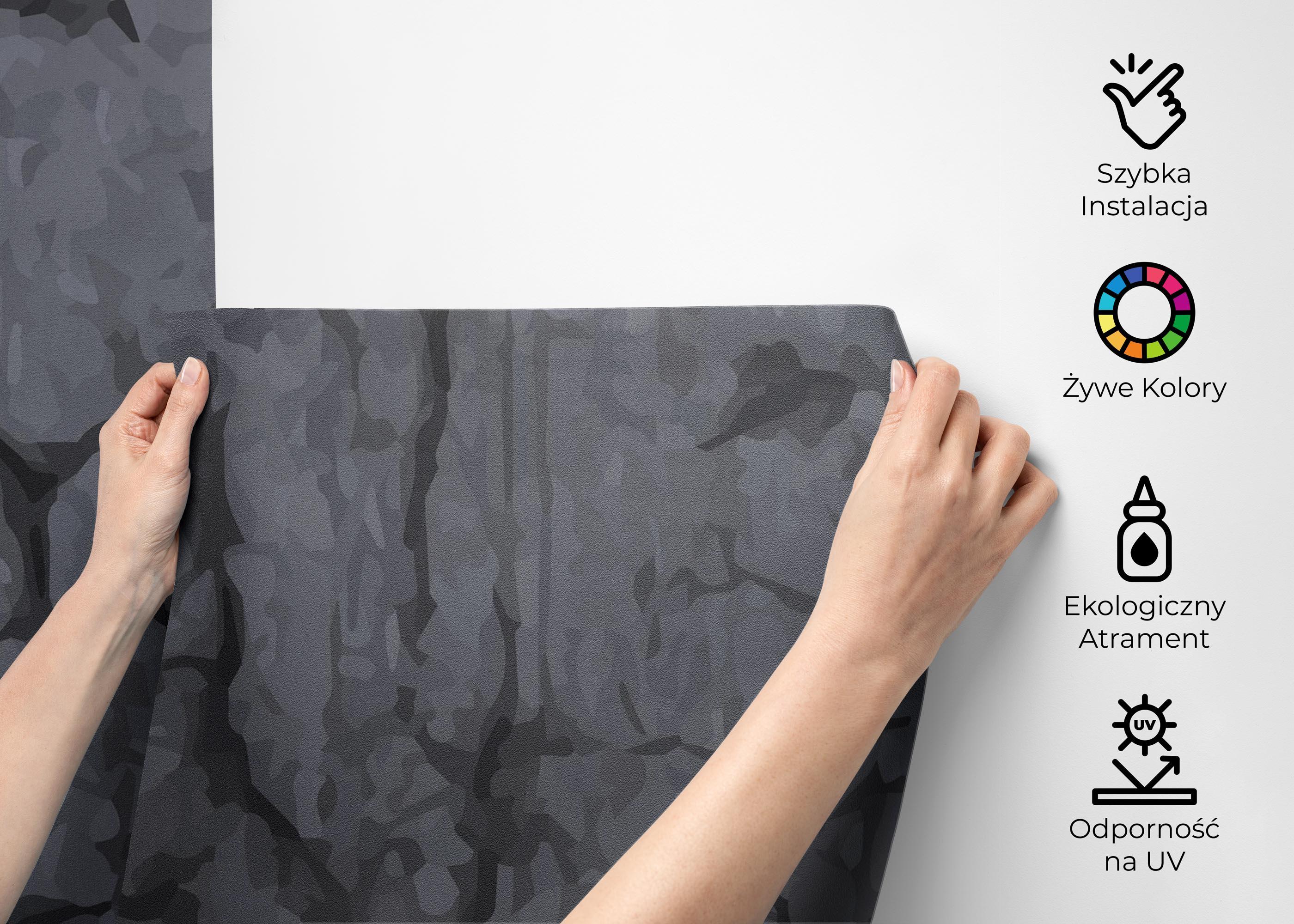 Fototapeta Big Crack Concrete mockup 2