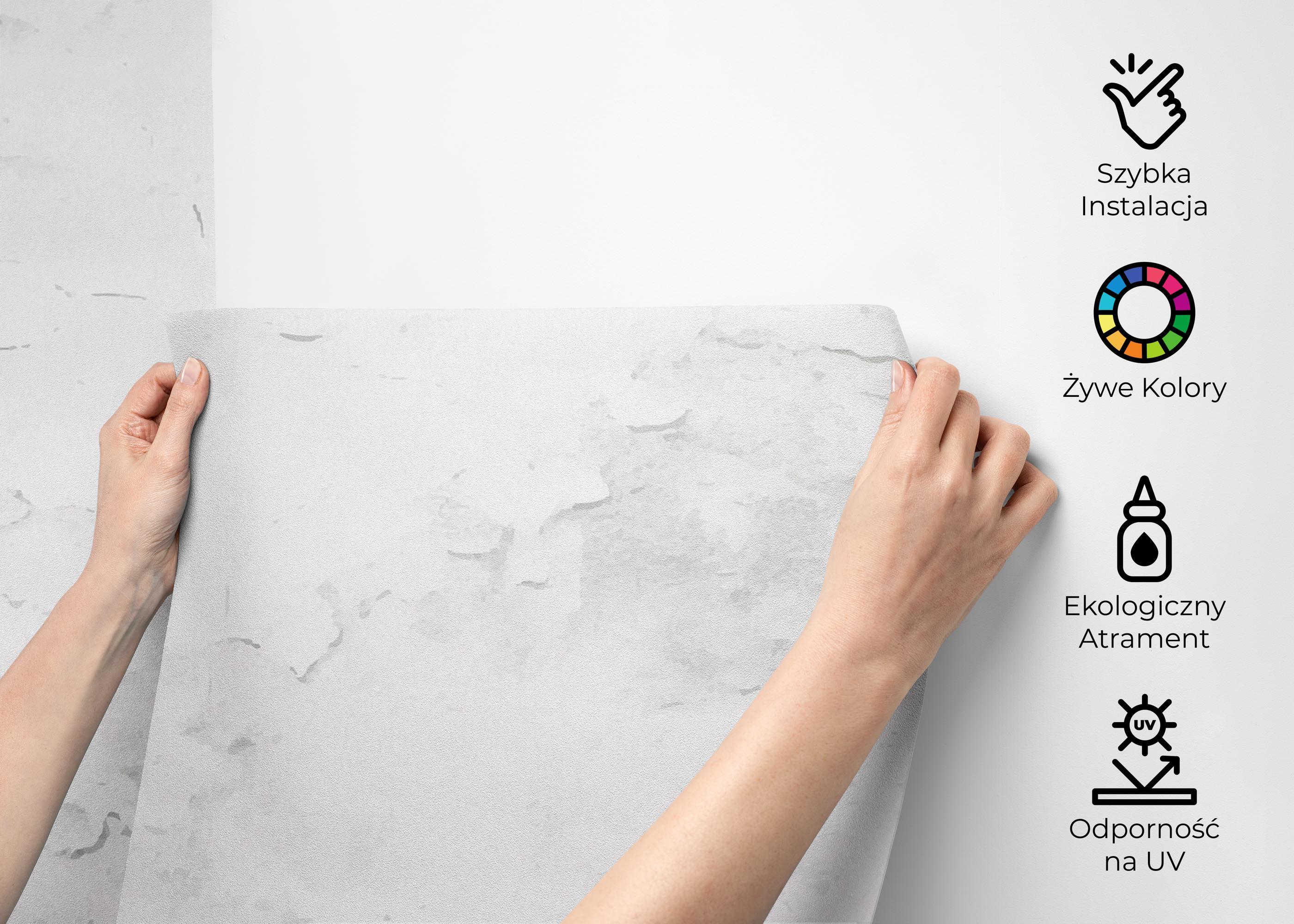 Fototapeta Grey Concrete Crack mockup 2