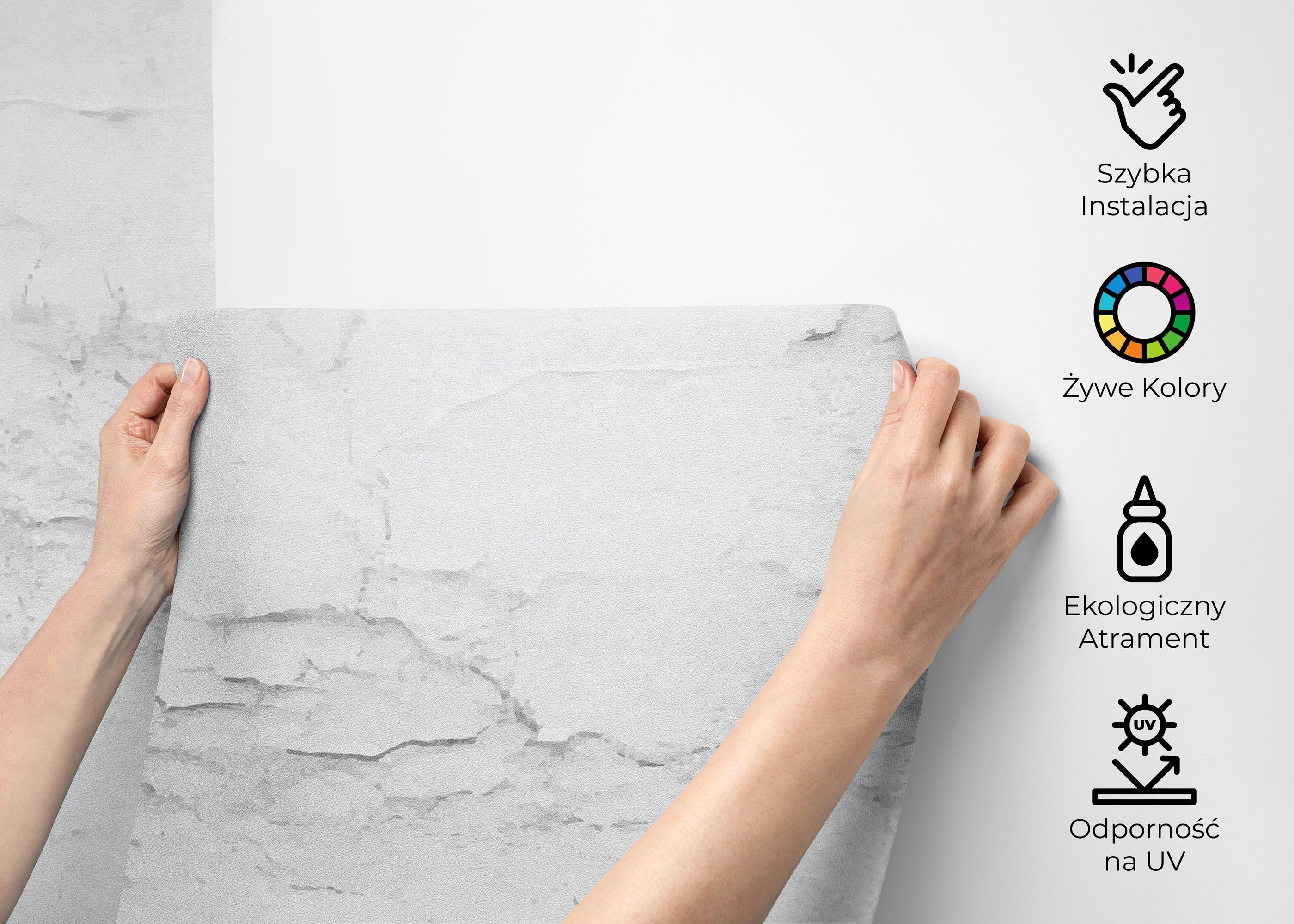 Fototapeta White Concrete Crack mockup 2