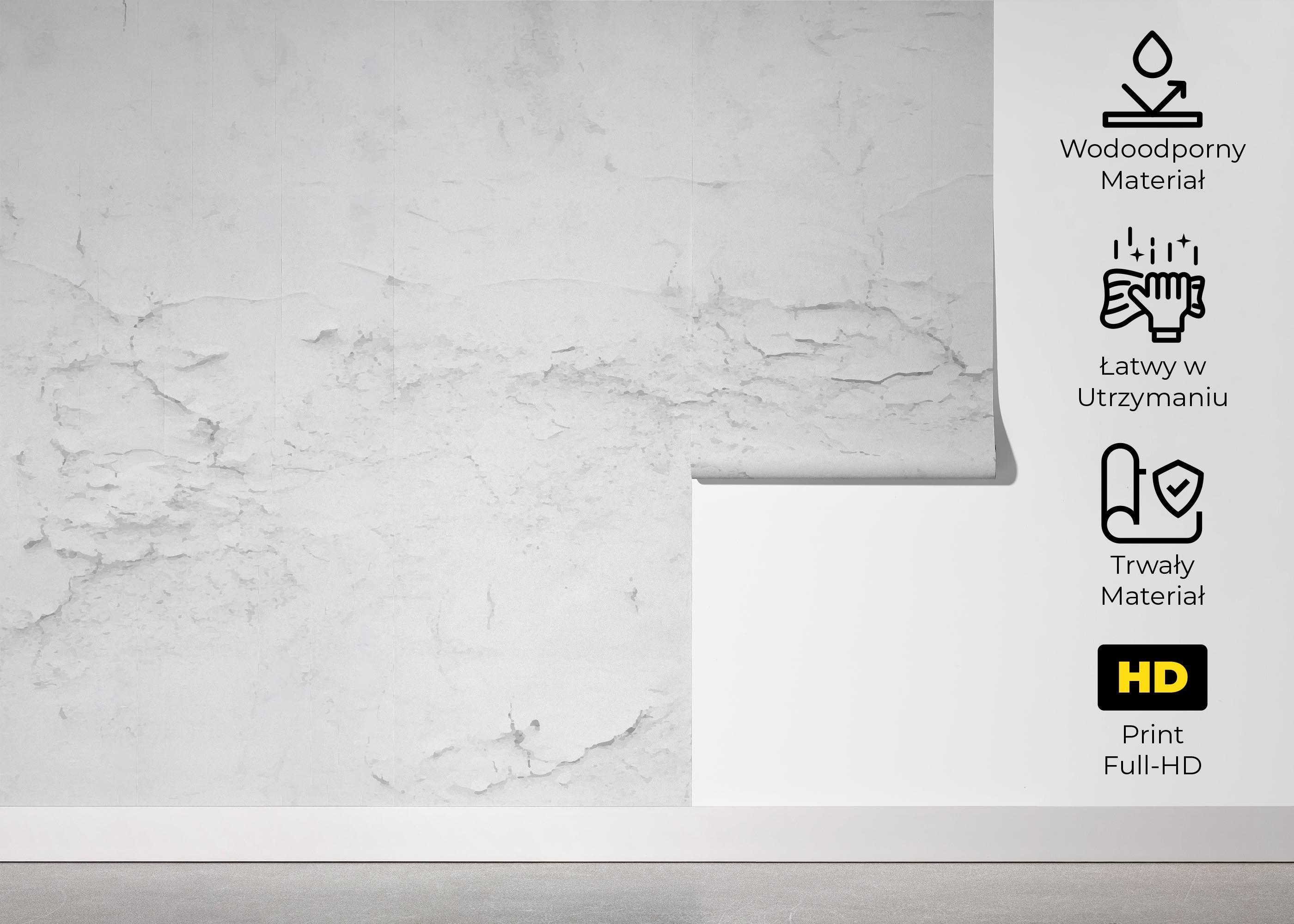 Fototapeta White Concrete Crack mockup 5