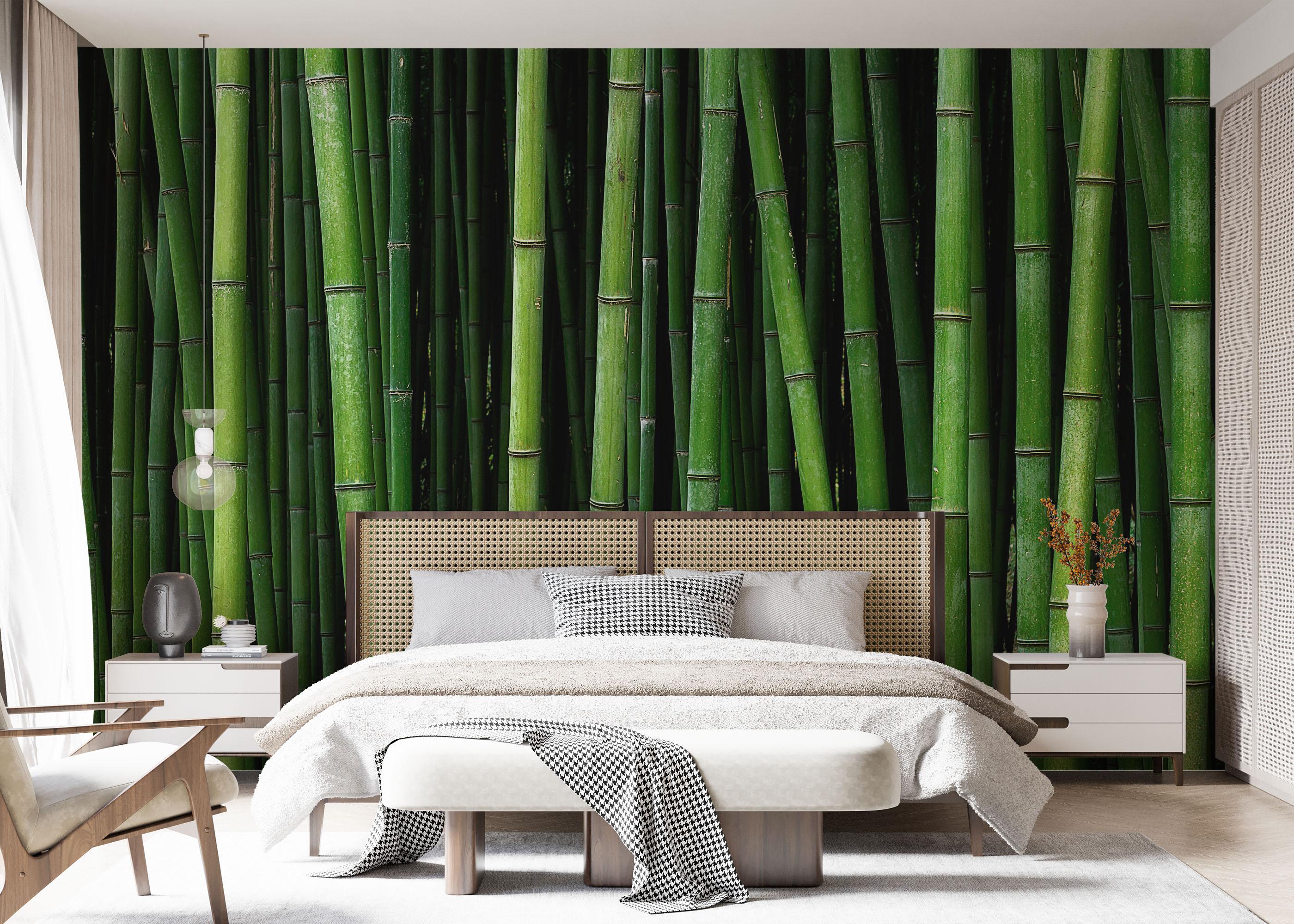 Fototapeta Green Bamboo mockup 7