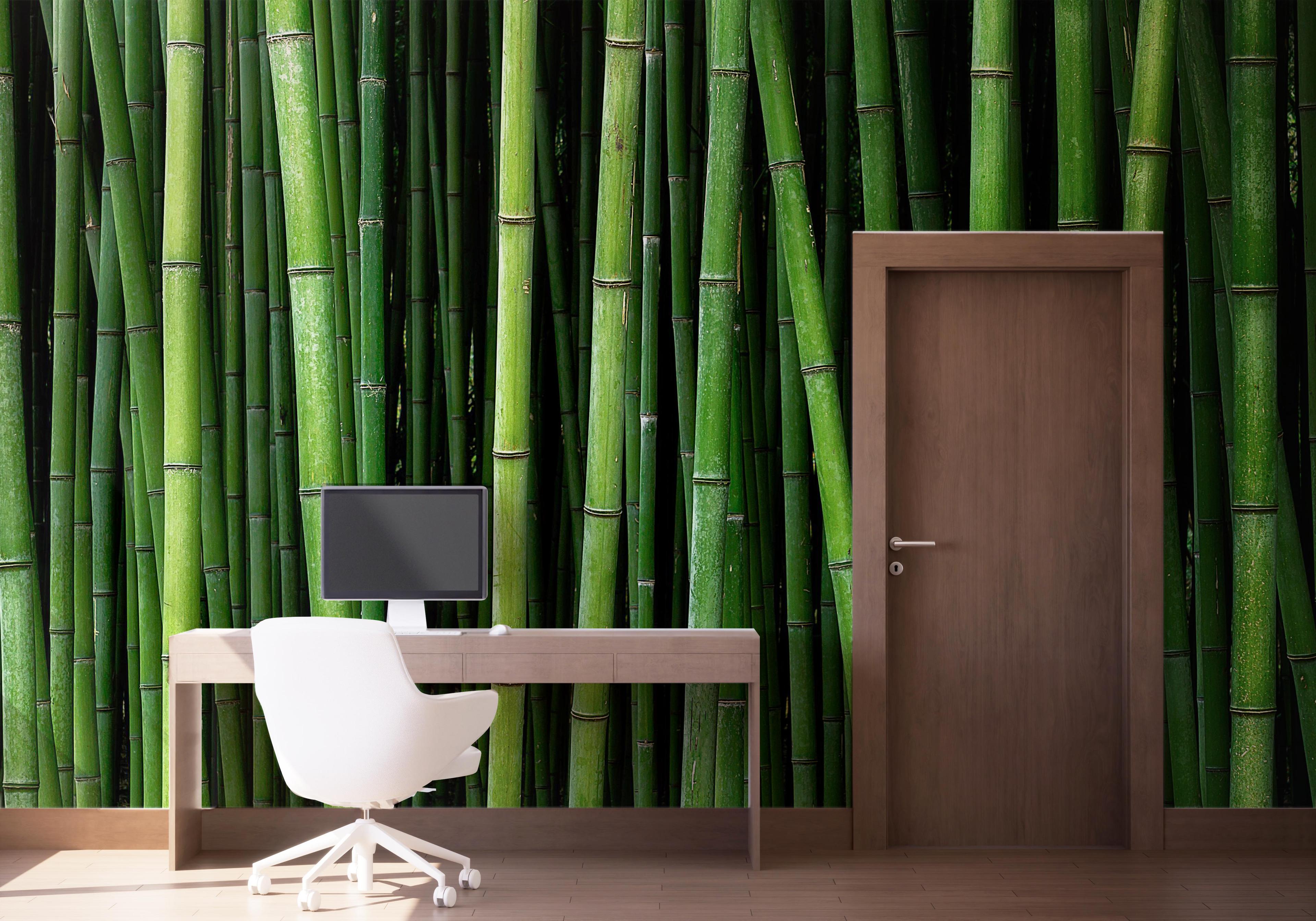 Fototapeta Green Bamboo mockup 1