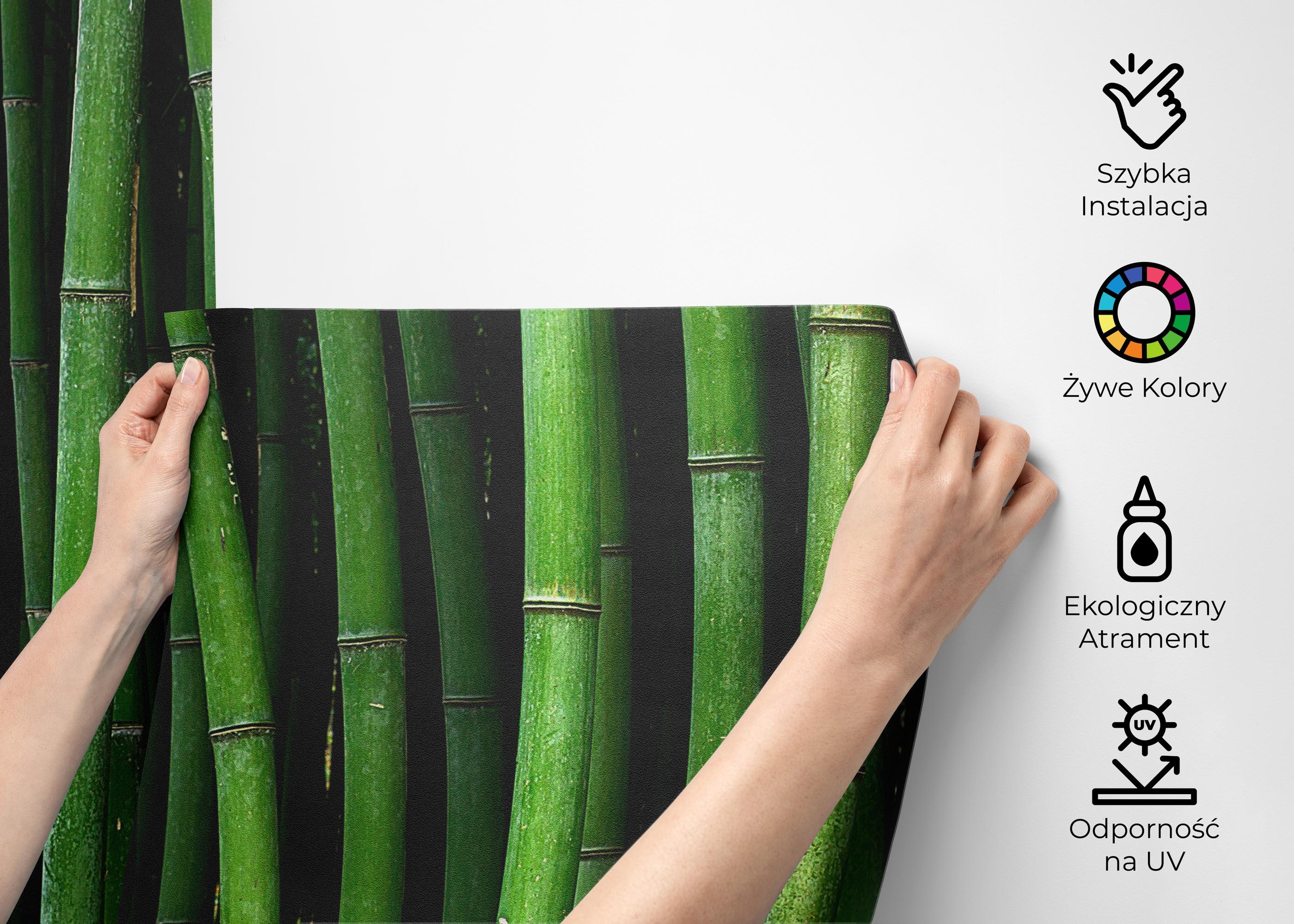 Fototapeta Green Bamboo mockup 2