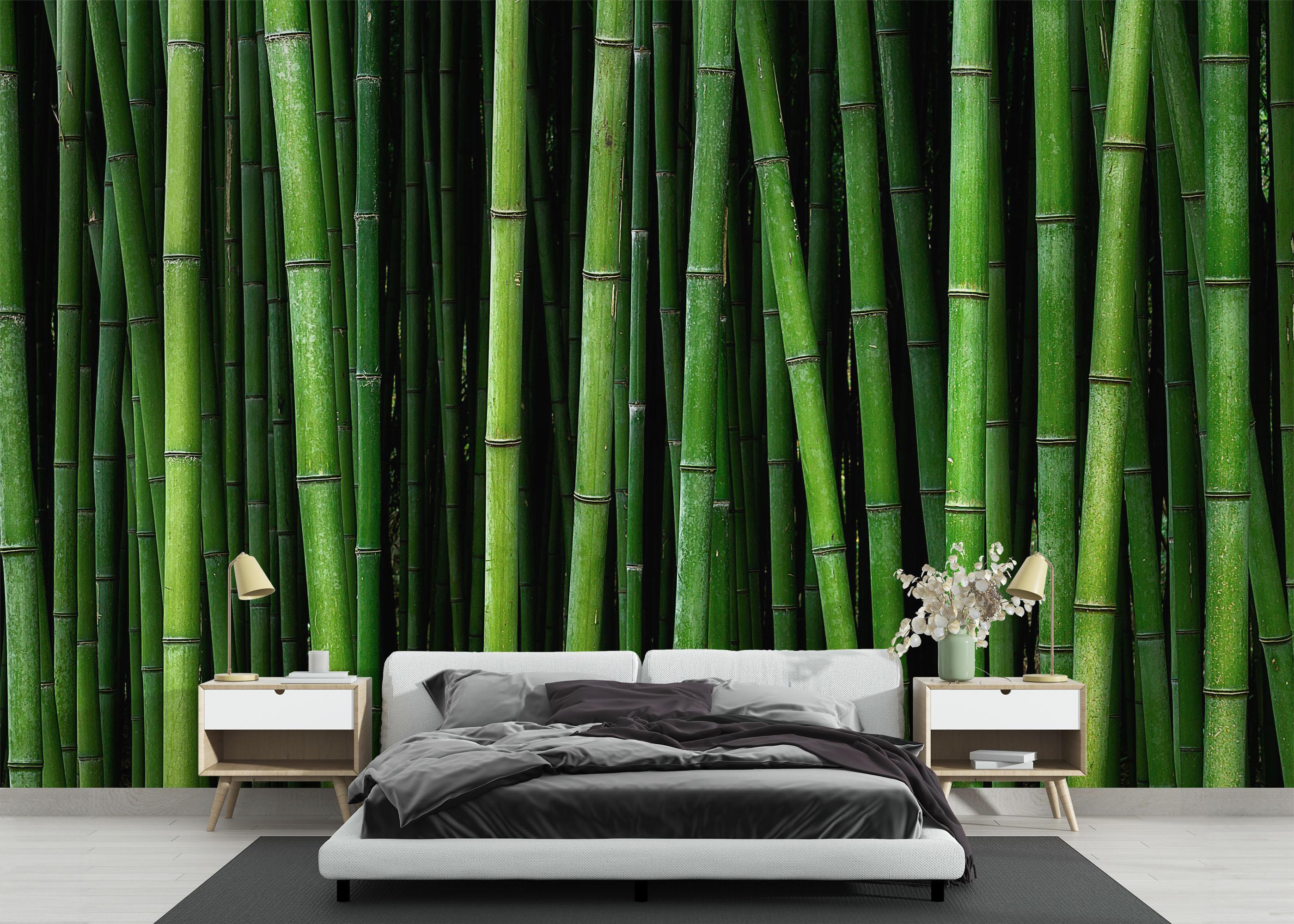 Fototapeta Green Bamboo mockup 3