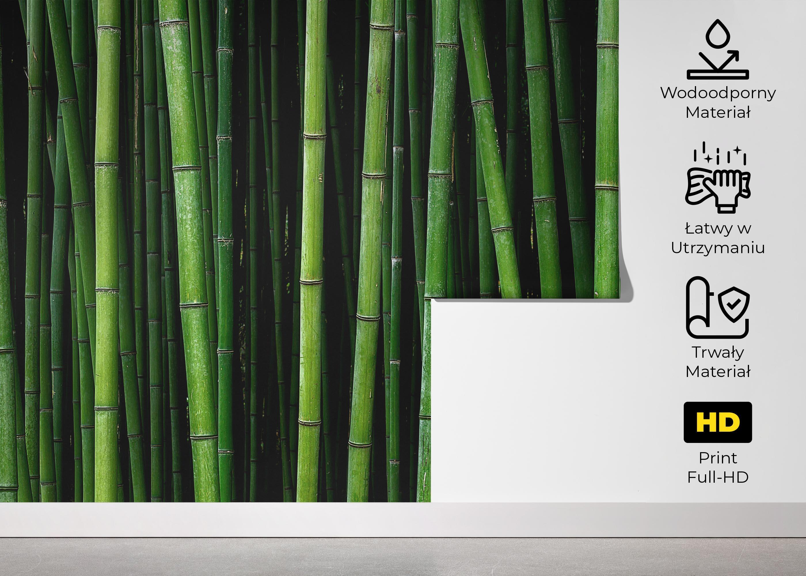 Fototapeta Green Bamboo mockup 5