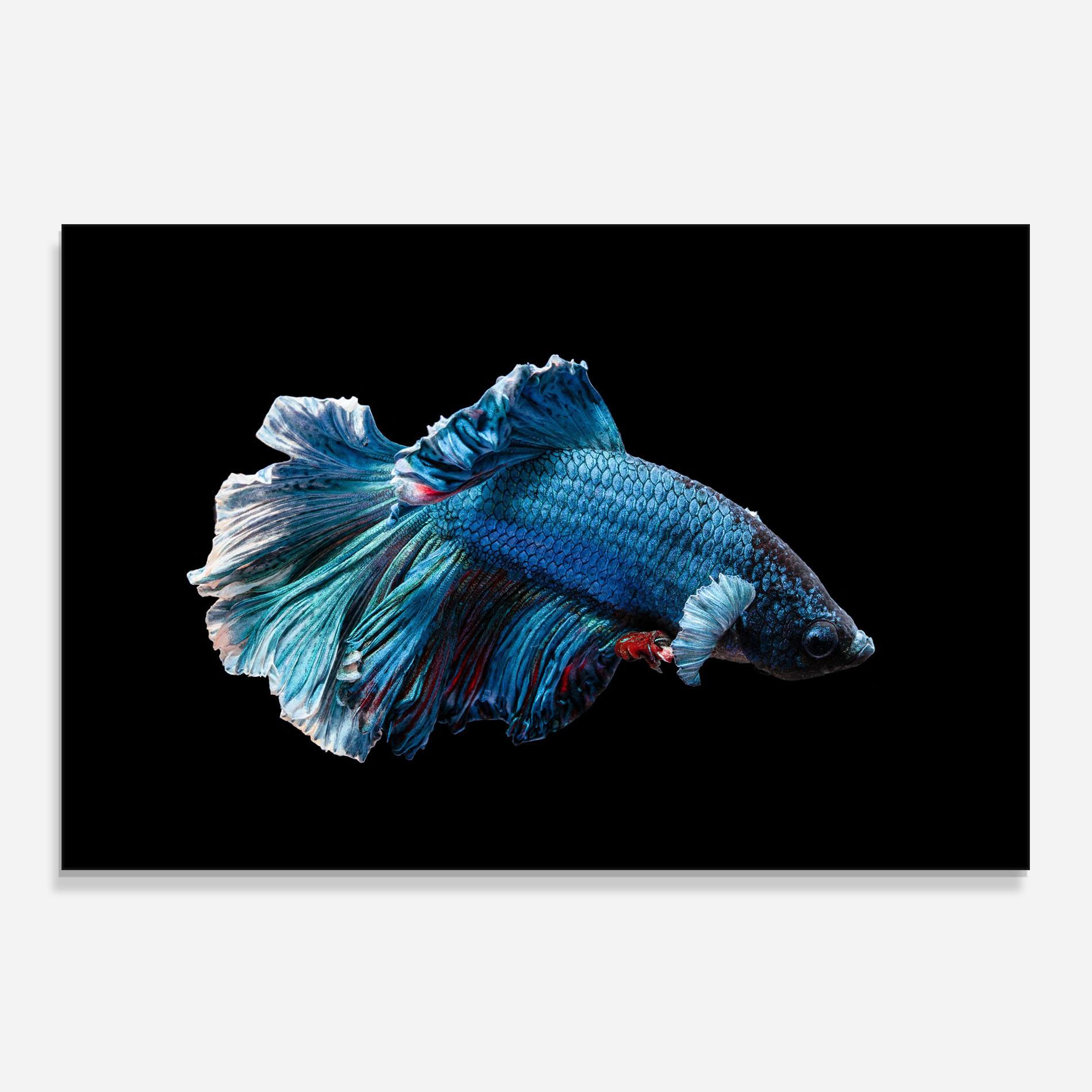 Panel Szklany do Kuchni Blue Betta mockup 0