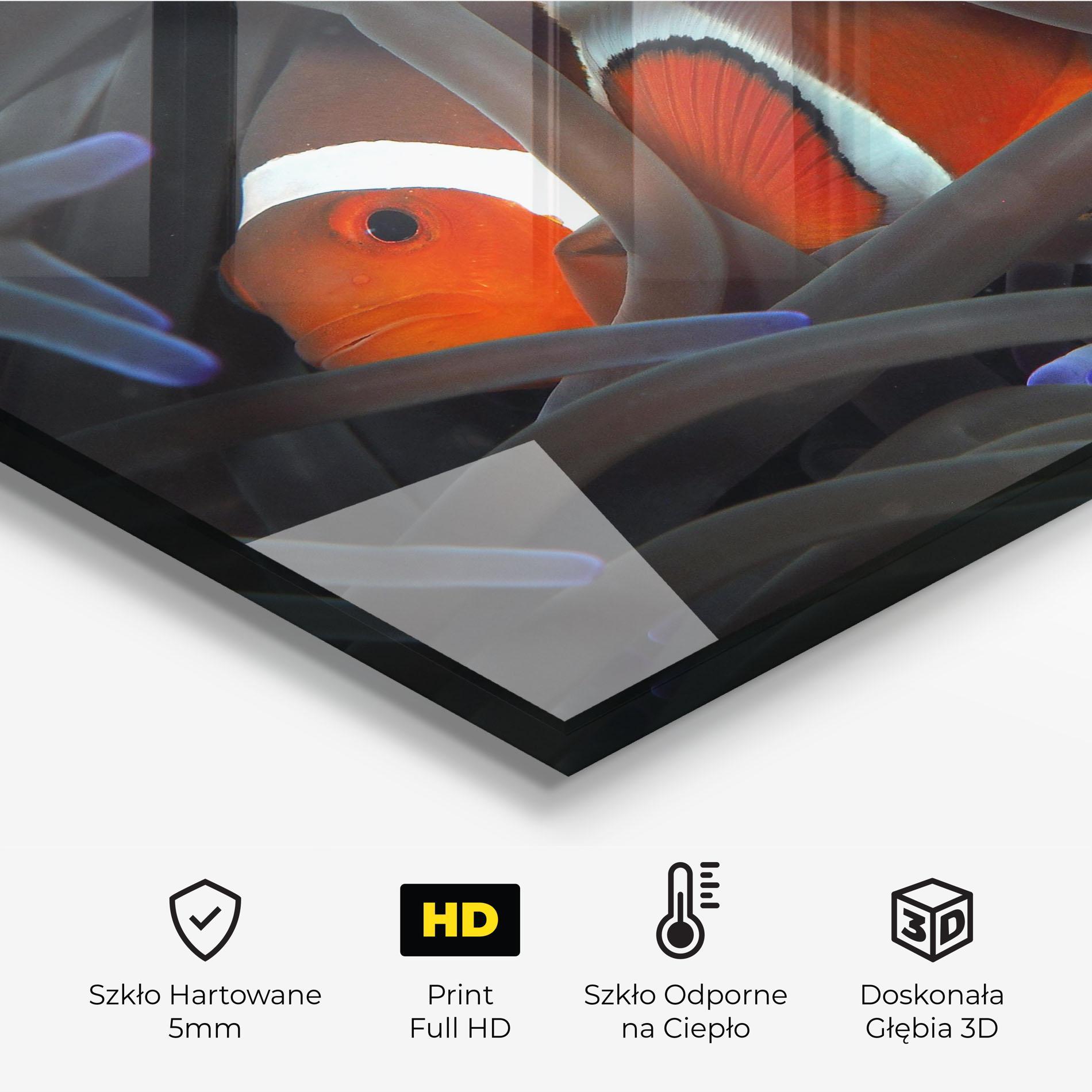 Panel Szklany do Kuchni Nemo Hiding mockup 2