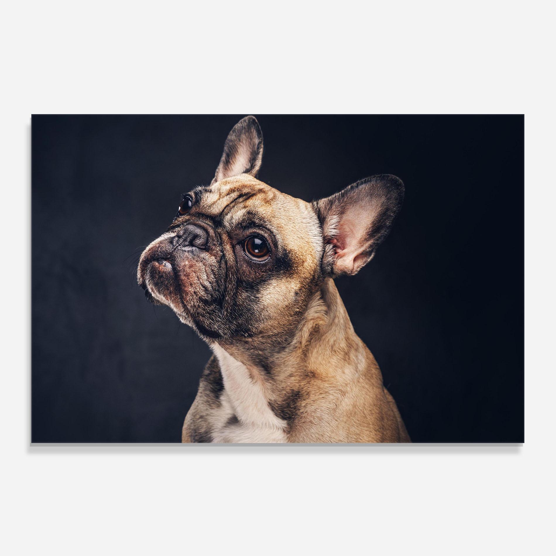 Panel Szklany do Kuchni Funny Face Dog mockup 0