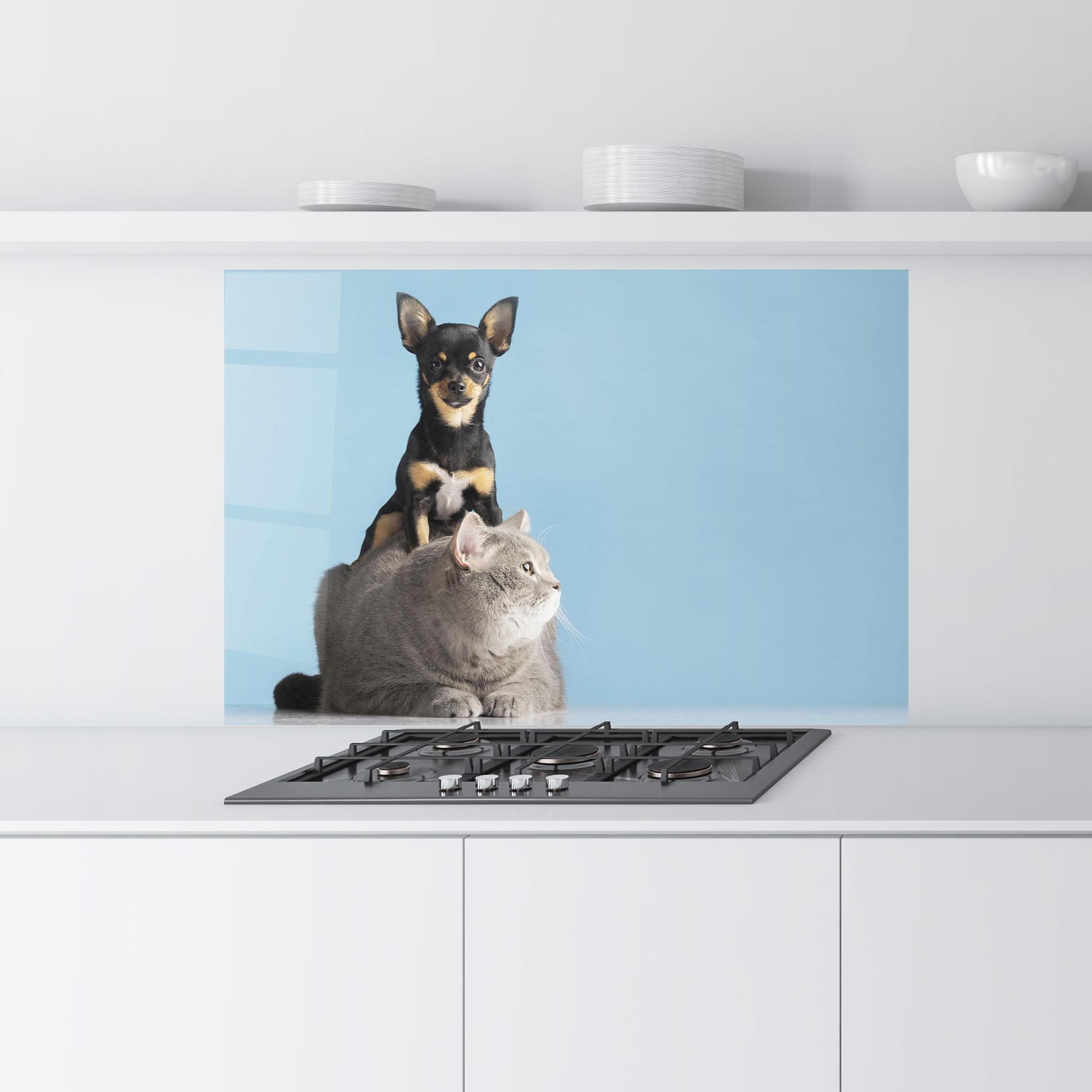 Panel Szklany do Kuchni Dog Grey Cat mockup 9