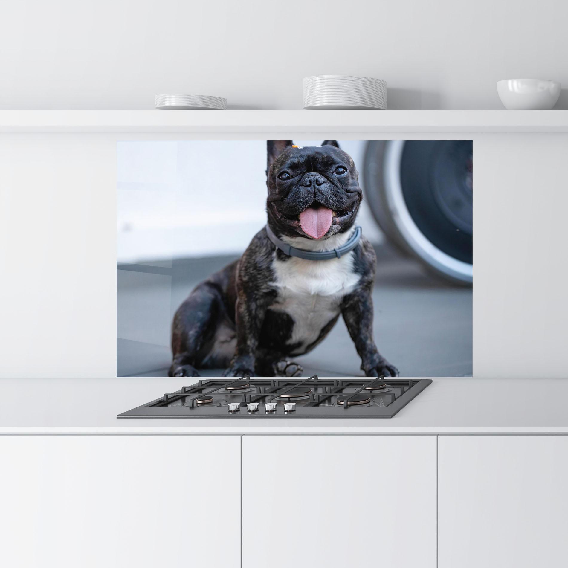 Panel Szklany do Kuchni Happy Black Dog mockup 9