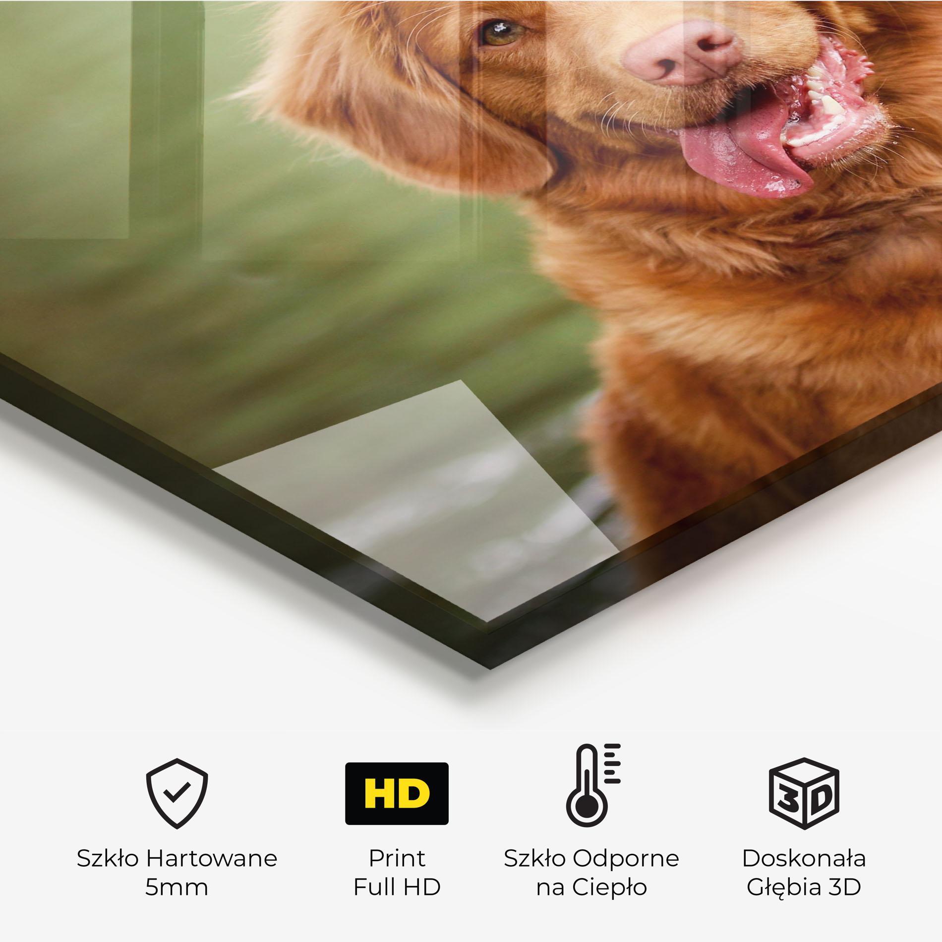 Panel Szklany do Kuchni Gren Water Dog mockup 2