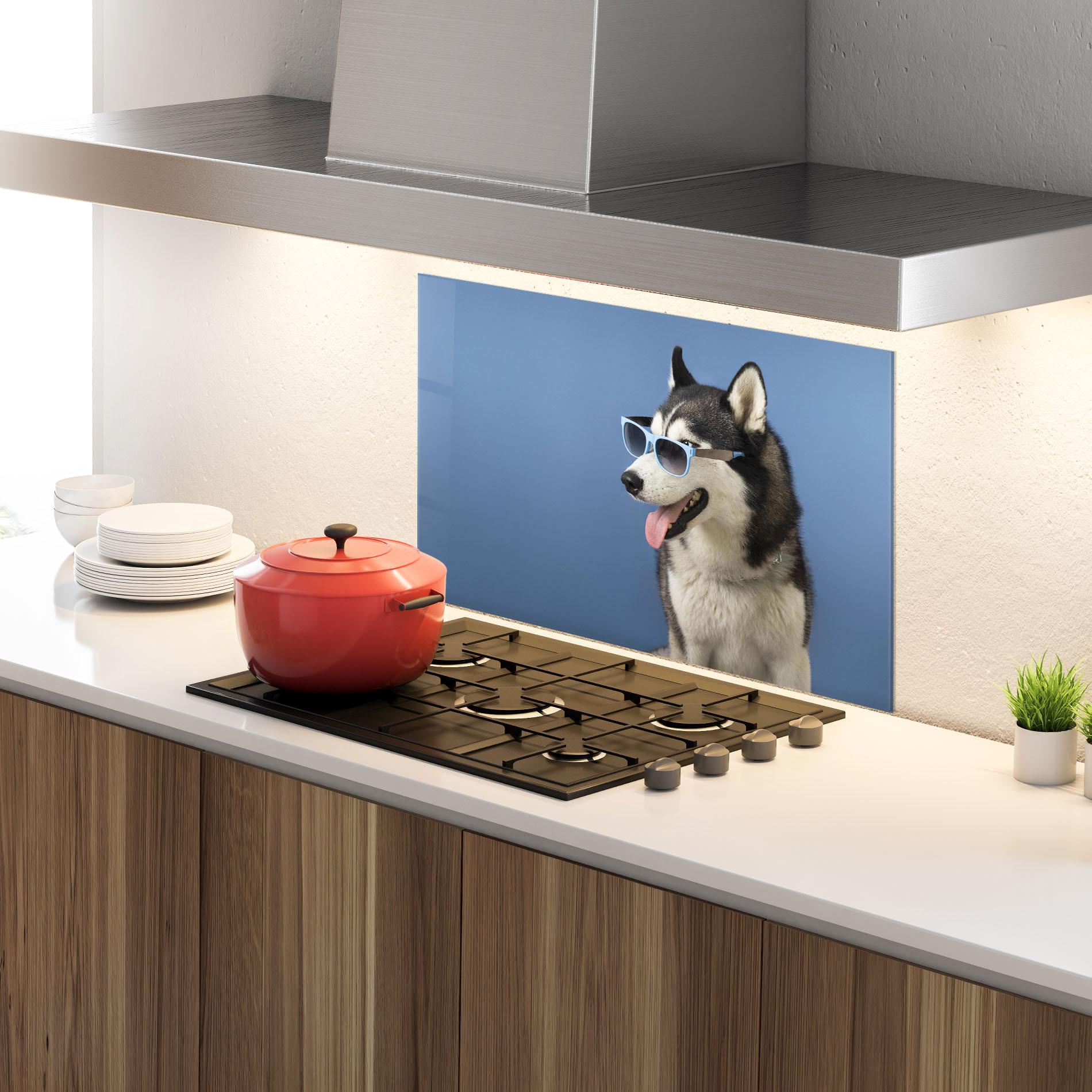 Panel Szklany do Kuchni Blue Glasses Dog mockup 4