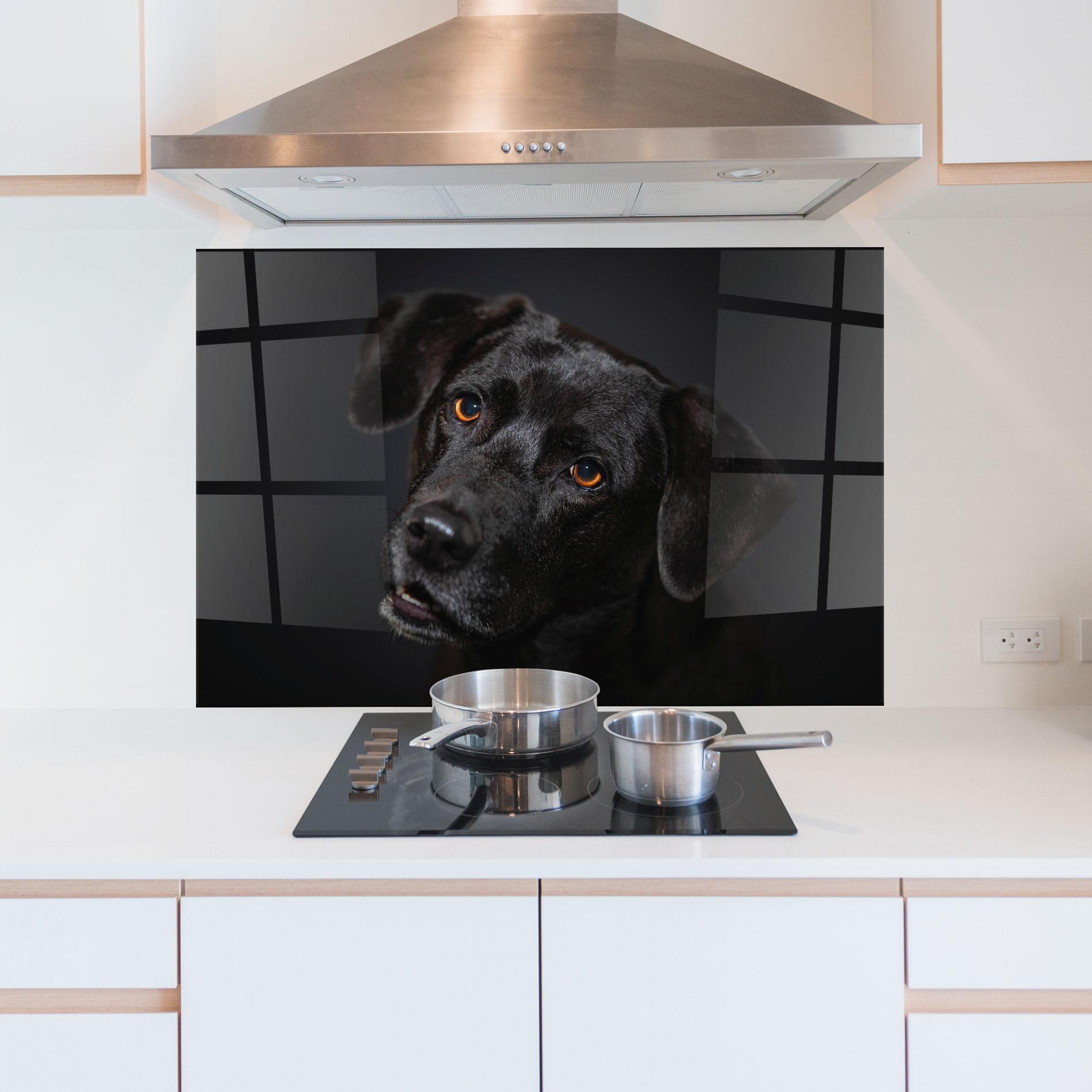 Panel Szklany do Kuchni Black Dog Portrait mockup 5