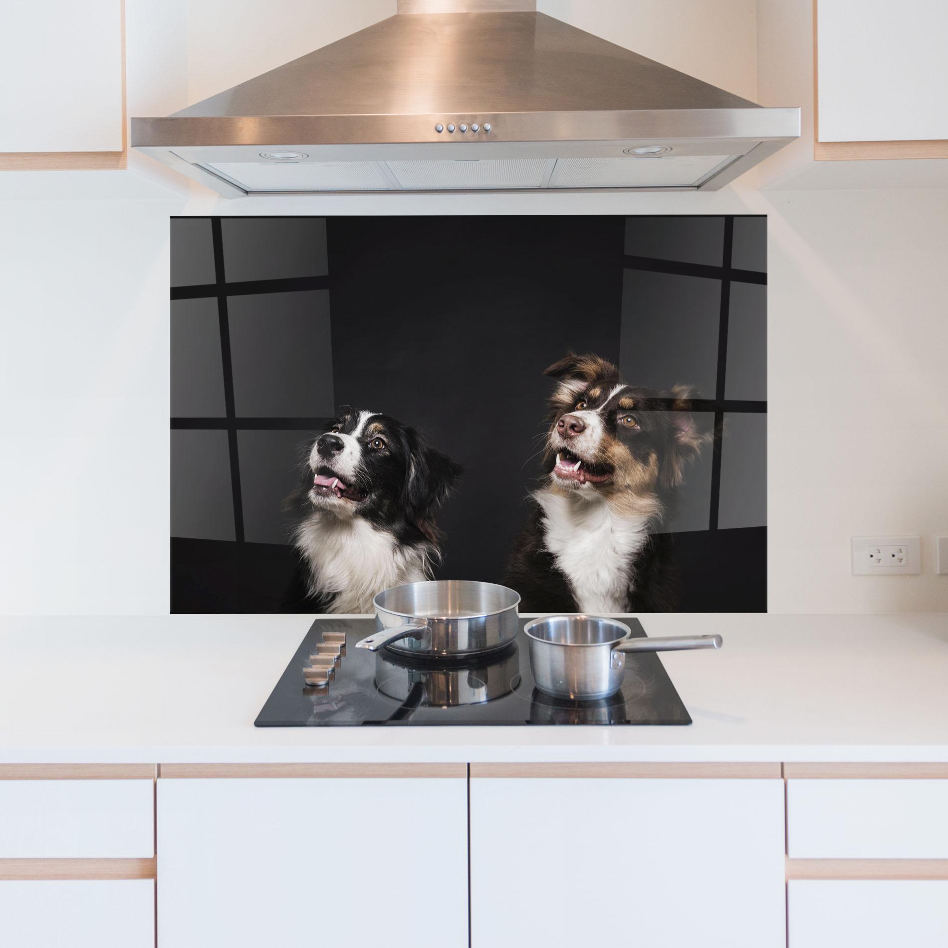 Panel Szklany do Kuchni Cute Dogs Standing mockup 5