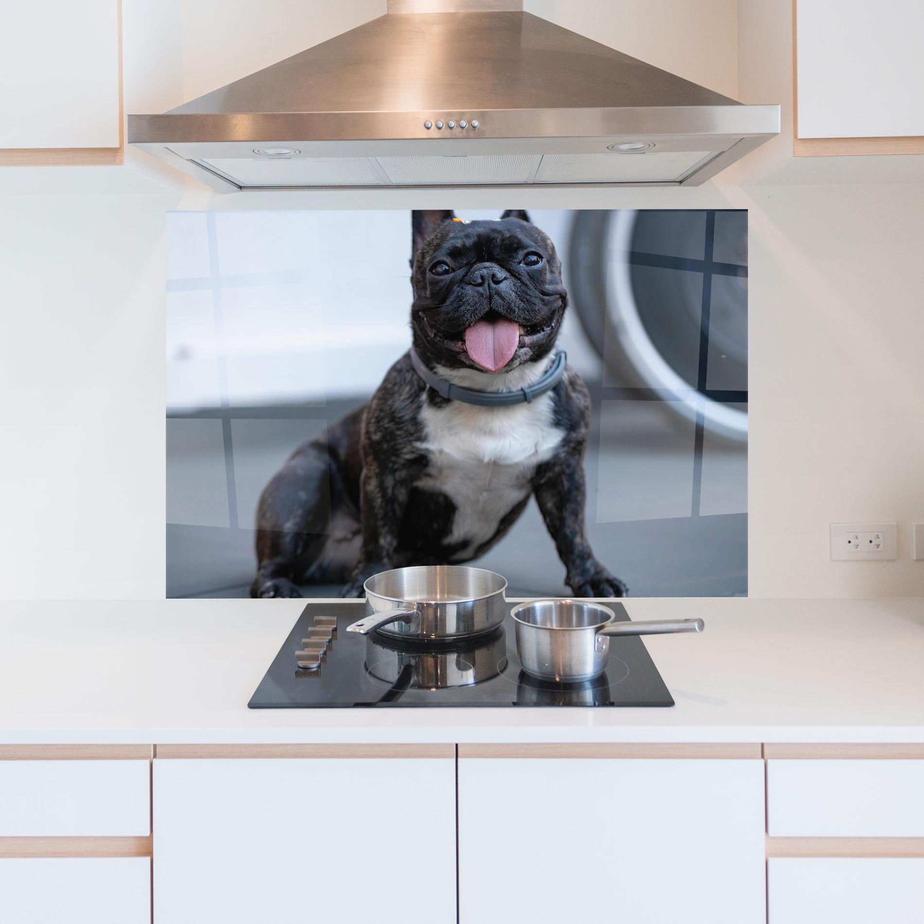 Panel Szklany do Kuchni Happy Black Dog mockup 5