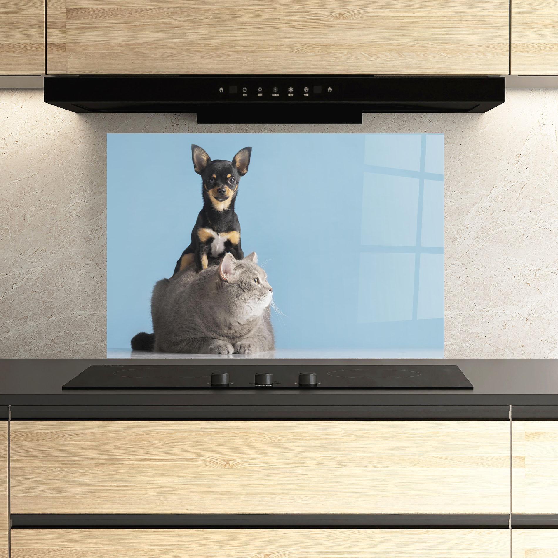Panel Szklany do Kuchni Dog Grey Cat mockup 3