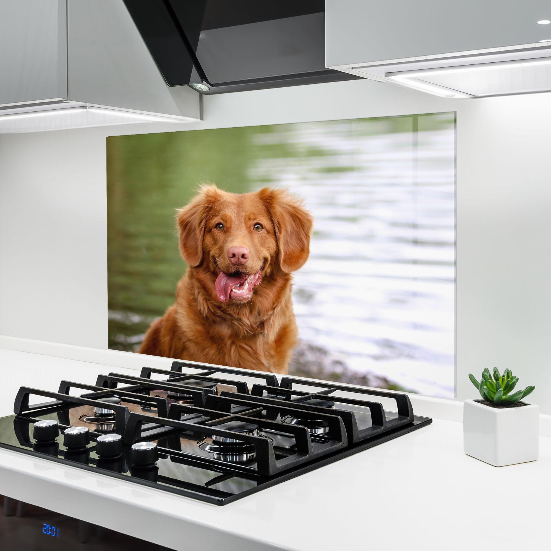 Panel Szklany do Kuchni Gren Water Dog mockup 6