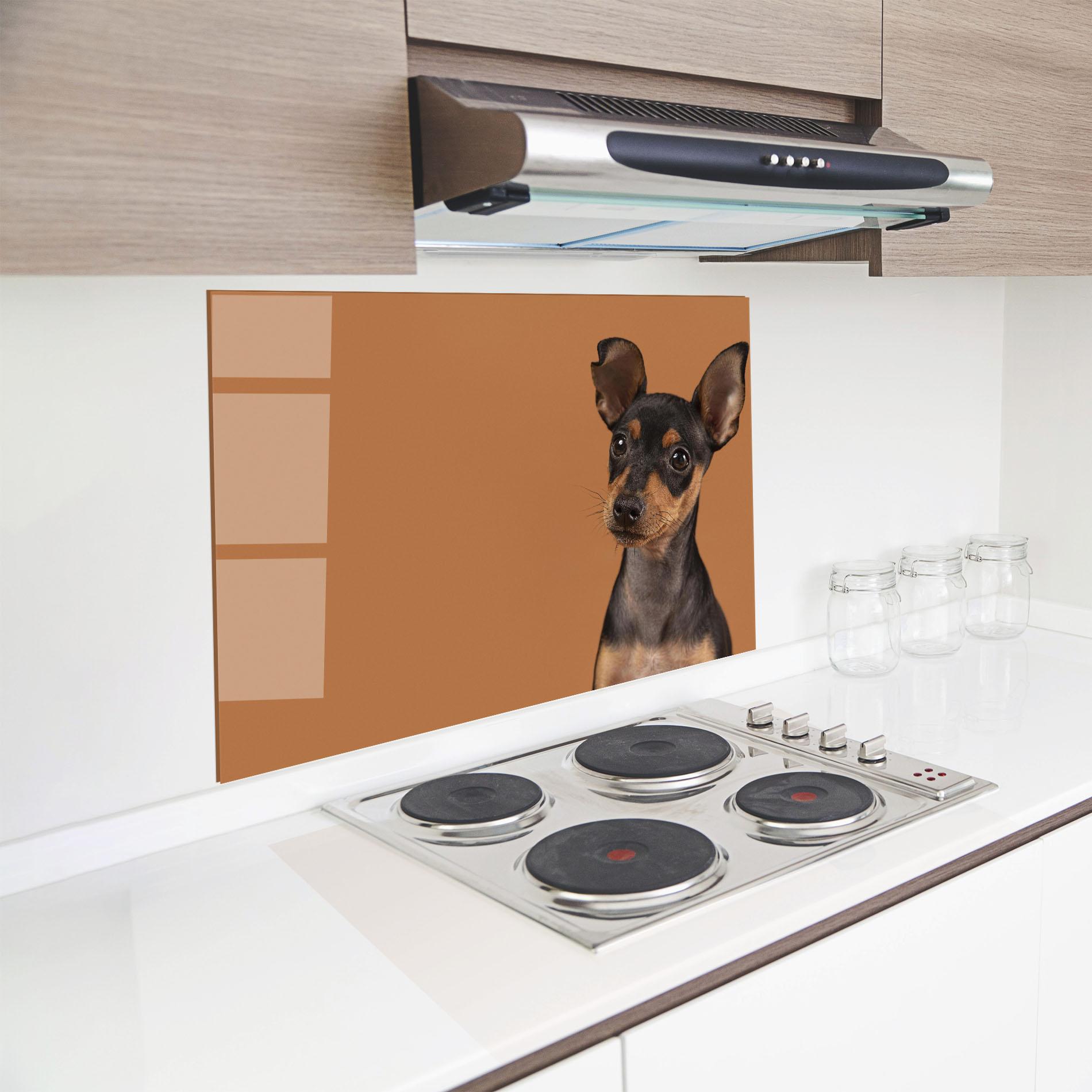 Panel Szklany do Kuchni Cute Dog Portrait mockup 8