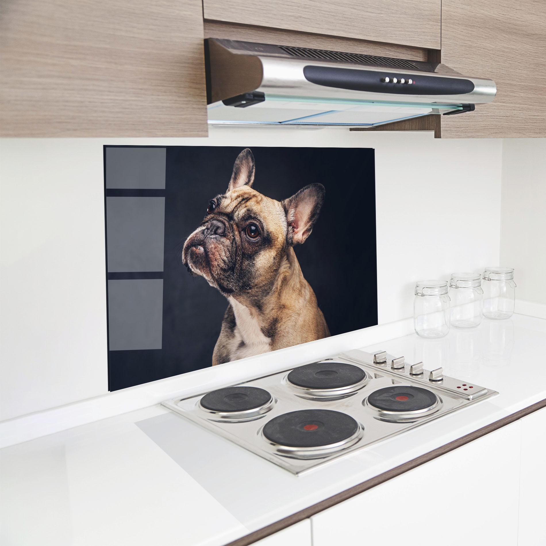 Panel Szklany do Kuchni Funny Face Dog mockup 8