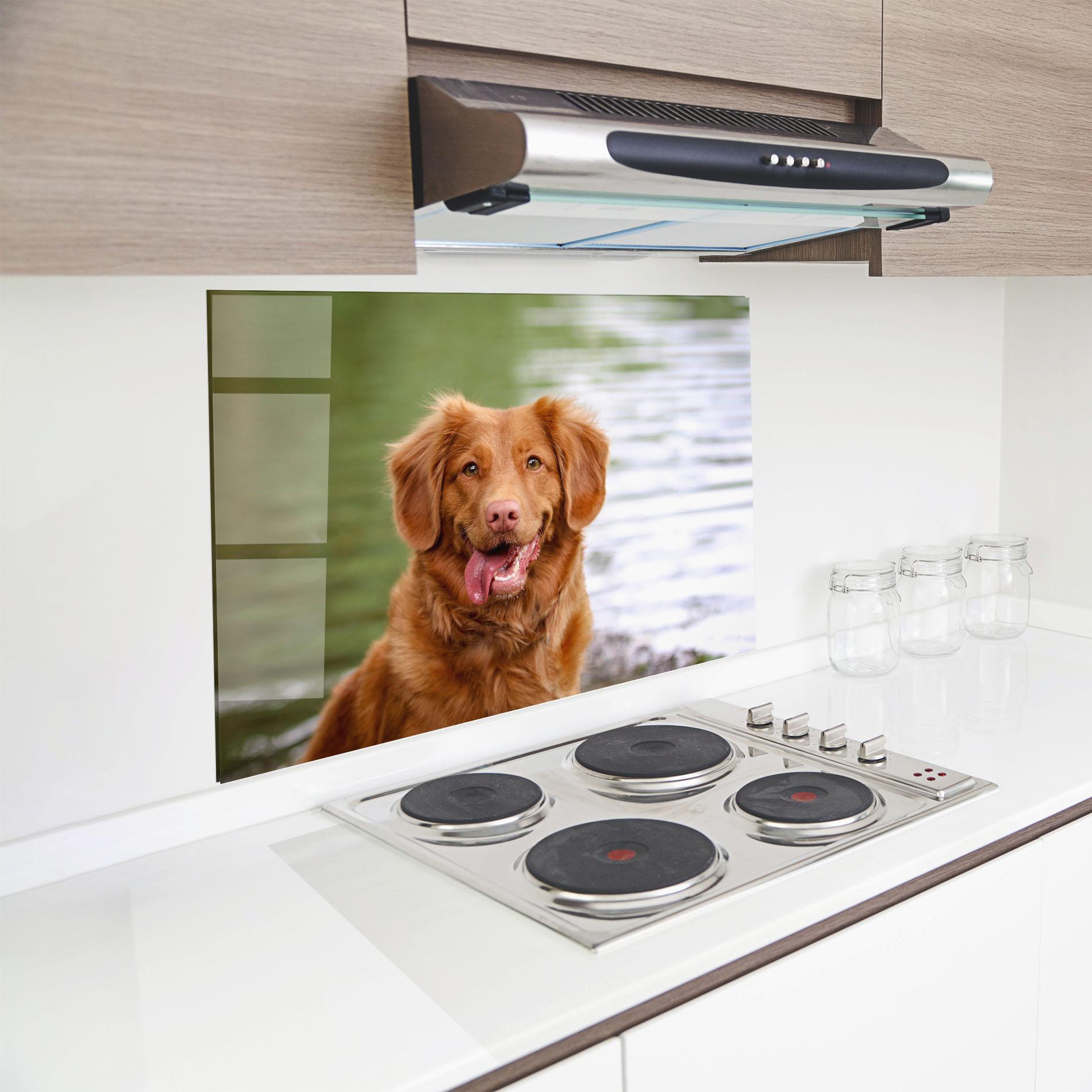 Panel Szklany do Kuchni Gren Water Dog mockup 8