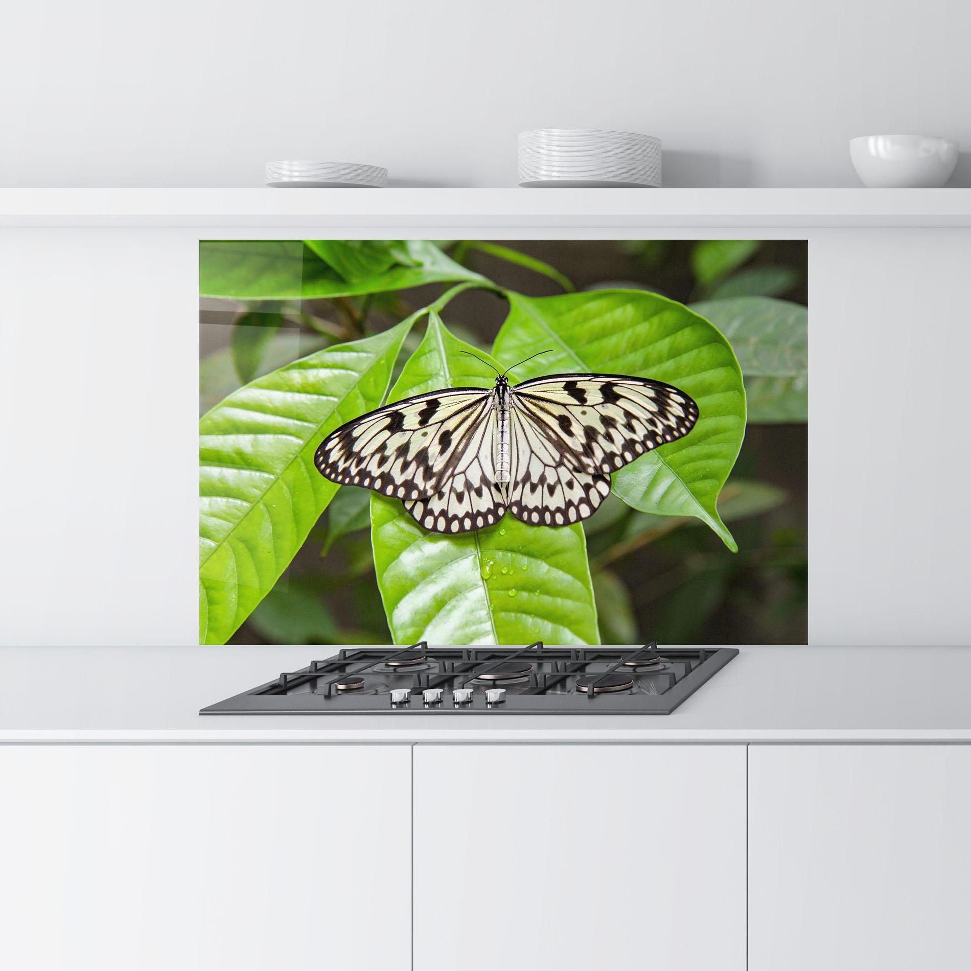 Panel Szklany do Kuchni Beautiful White Butterfly mockup 9