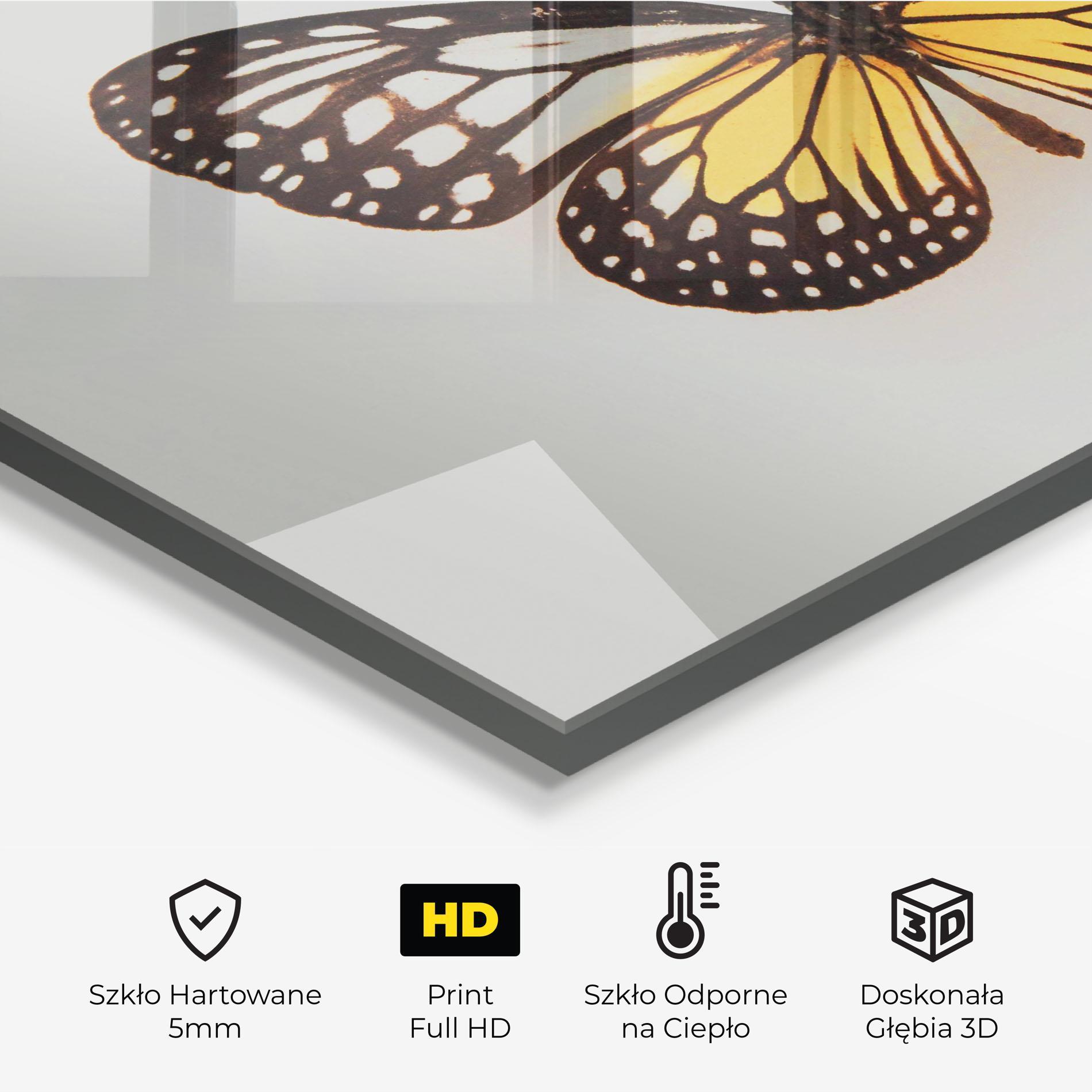 Panel Szklany do Kuchni Butterfly On Grey mockup 2