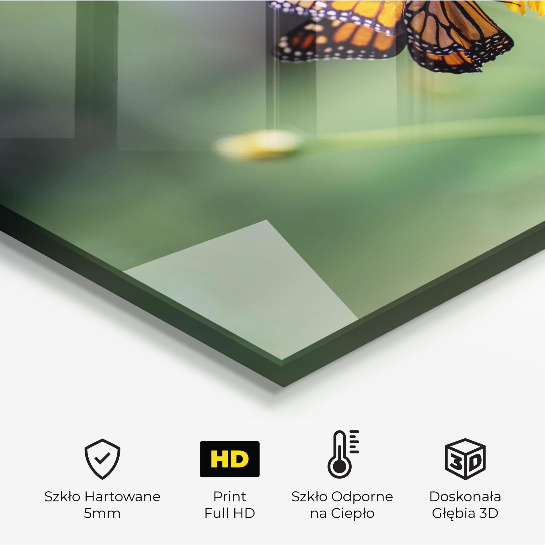 Panel Szklany do Kuchni Nice Orange Butterfly mockup 2