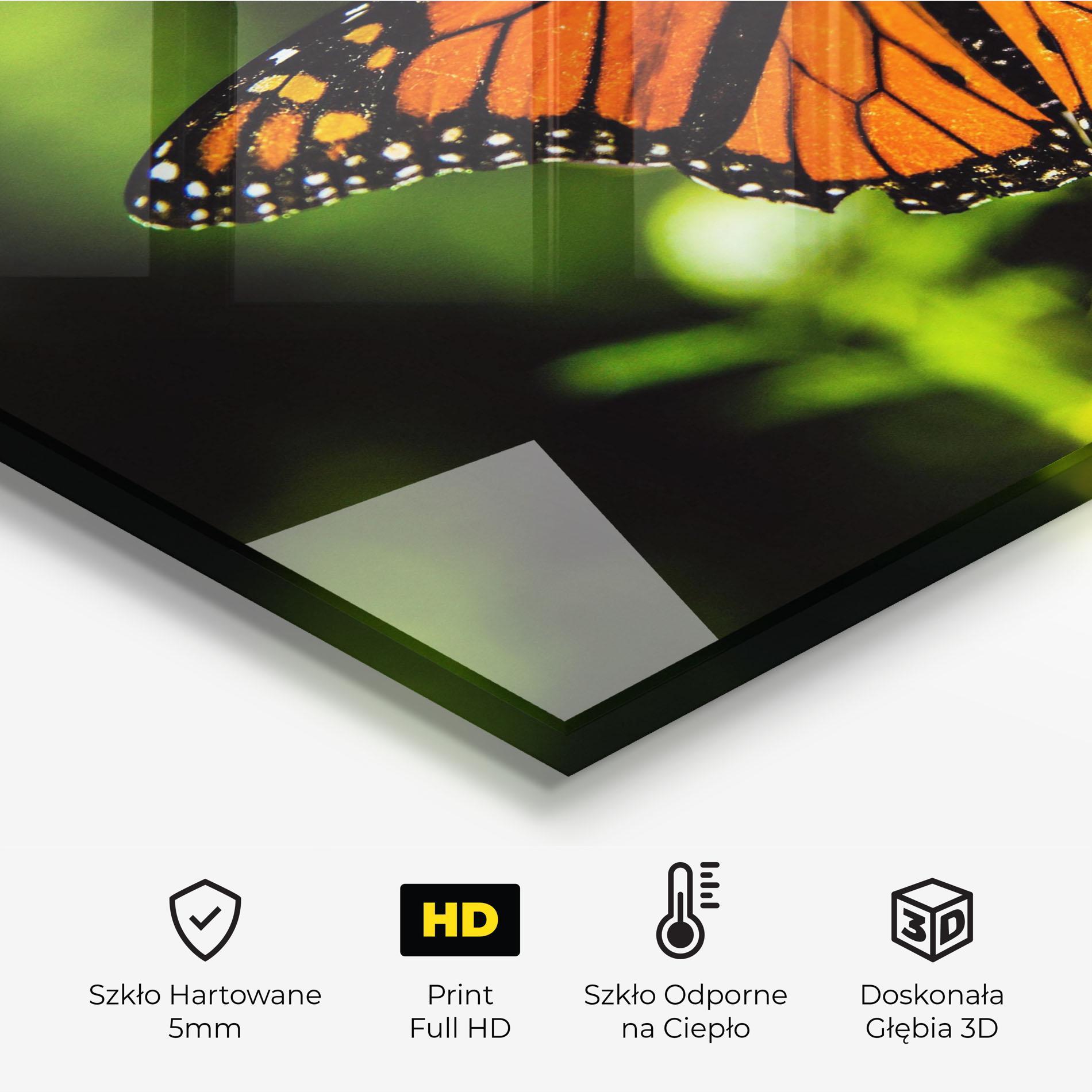 Panel Szklany do Kuchni Orange Open Butterfly mockup 2