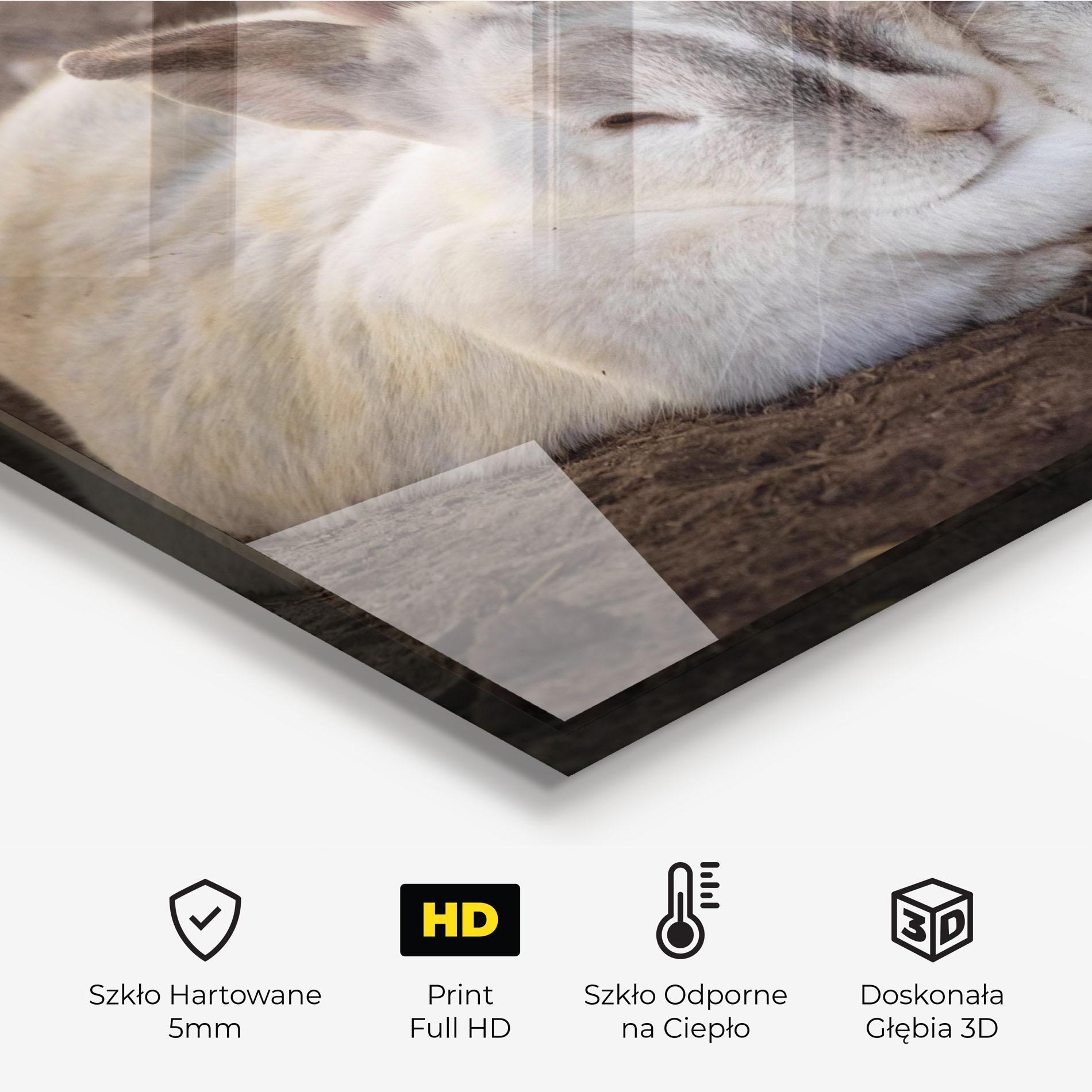 Panel Szklany do Kuchni Light Grey Bunny Sleeping mockup 2