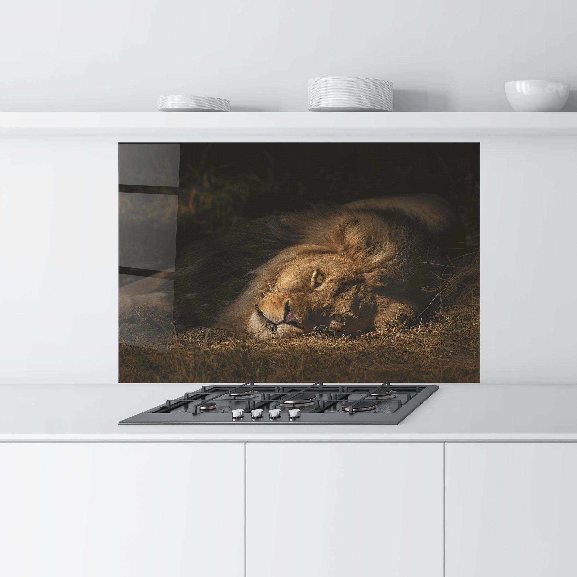Panel Szklany do Kuchni Lion Laying Down mockup 9