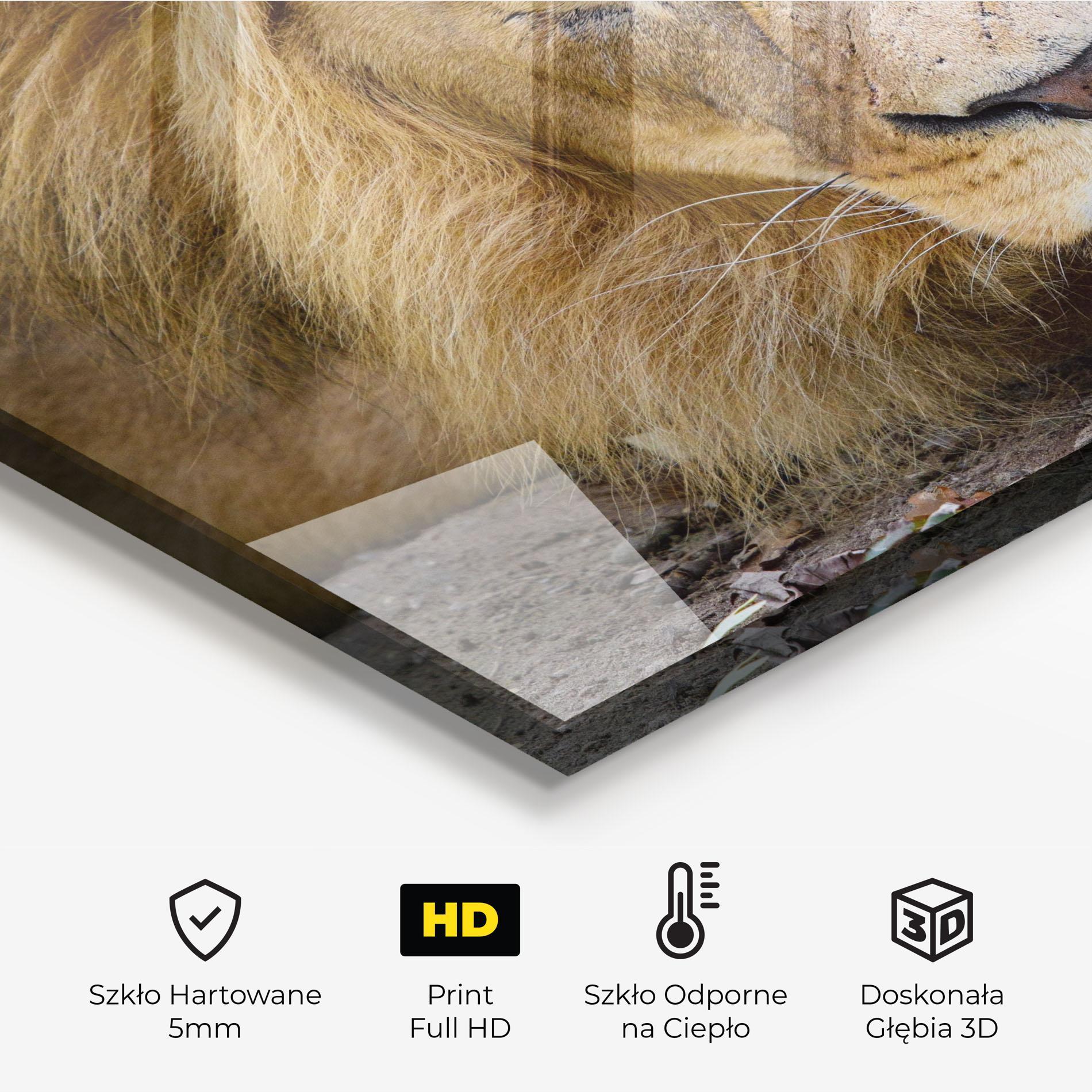 Panel Szklany do Kuchni Lion Looking mockup 2