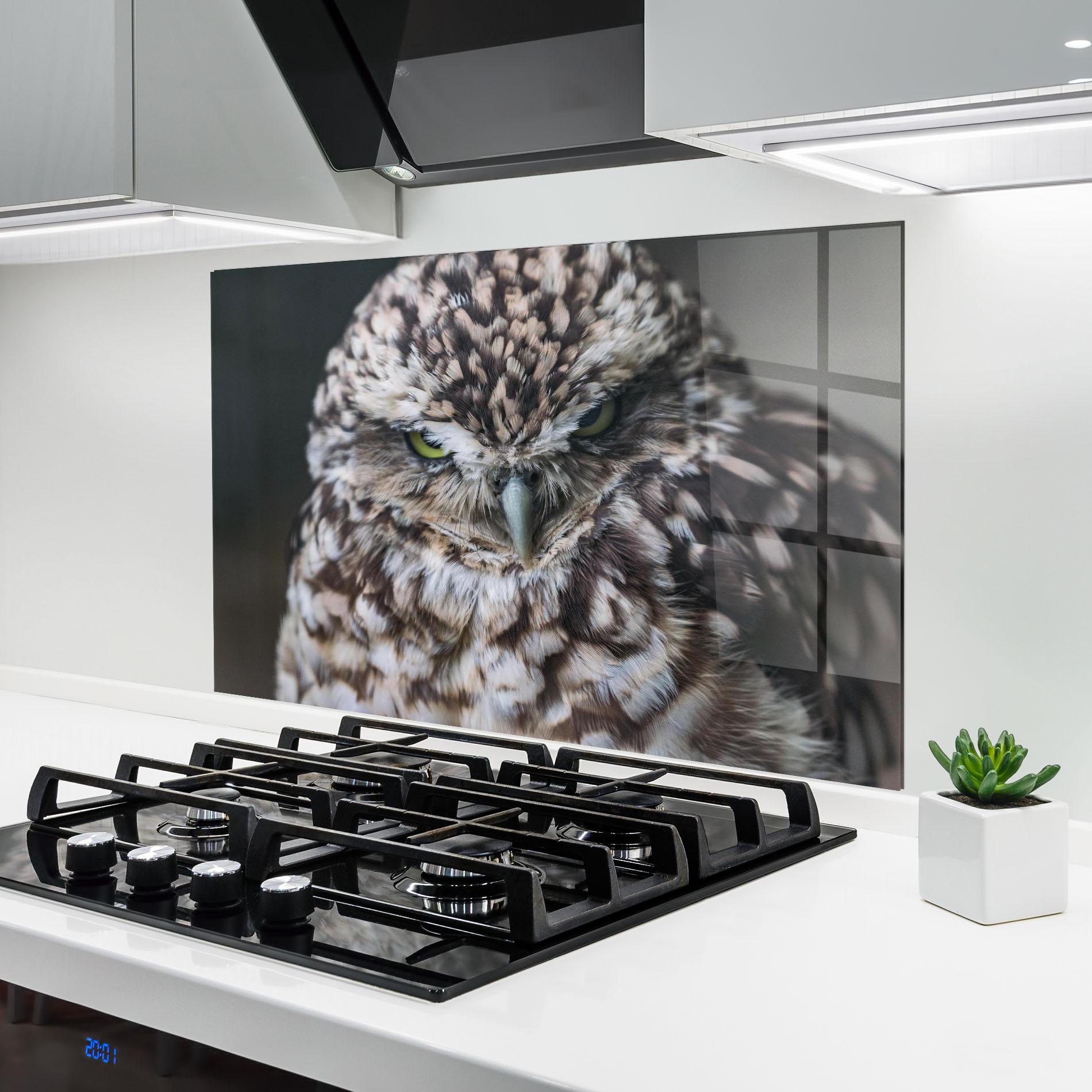 Panel Szklany do Kuchni Angry Little Owl mockup 6