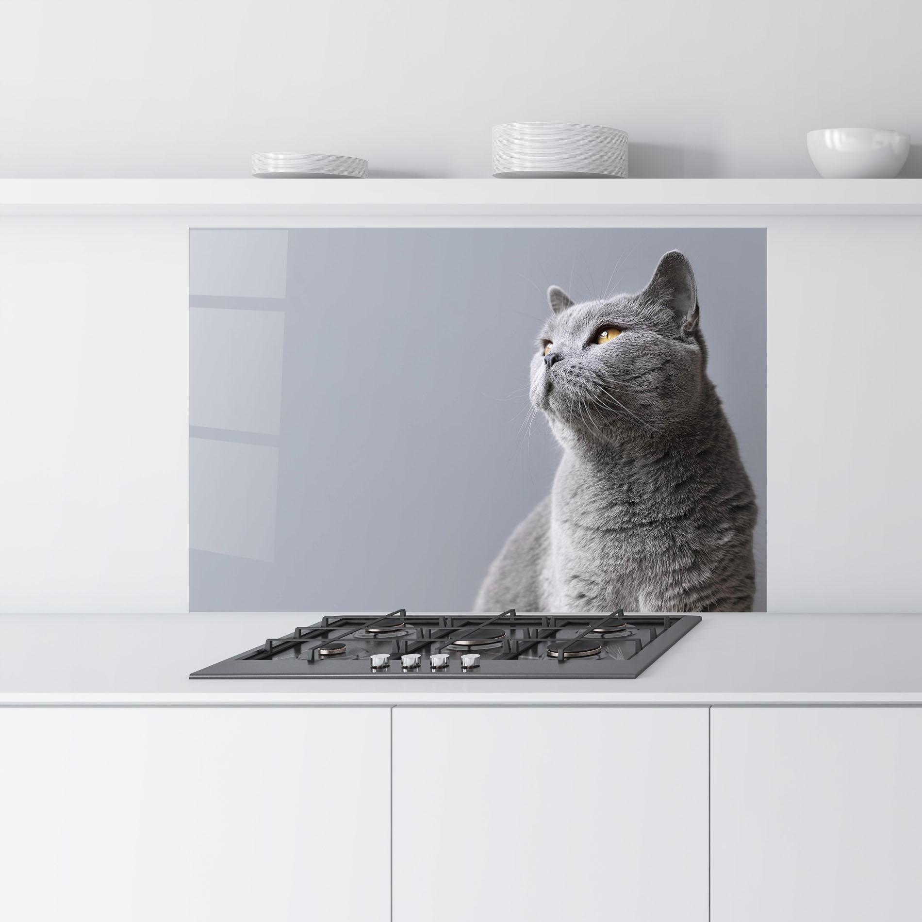 Panel Szklany do Kuchni Gray Kitty mockup 9
