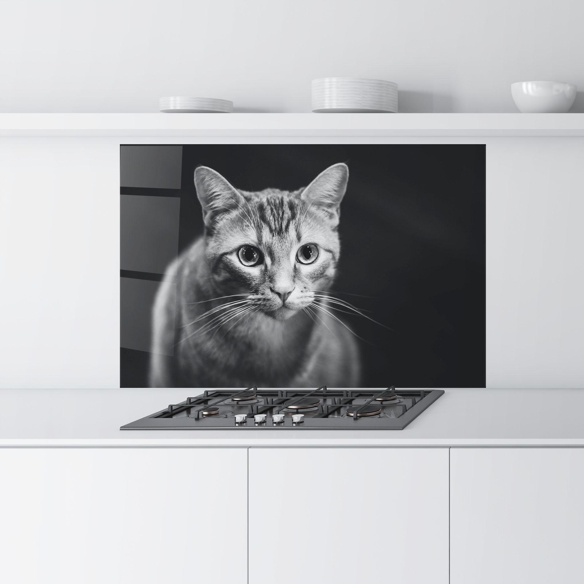 Panel Szklany do Kuchni Grey Kitty On Black mockup 9