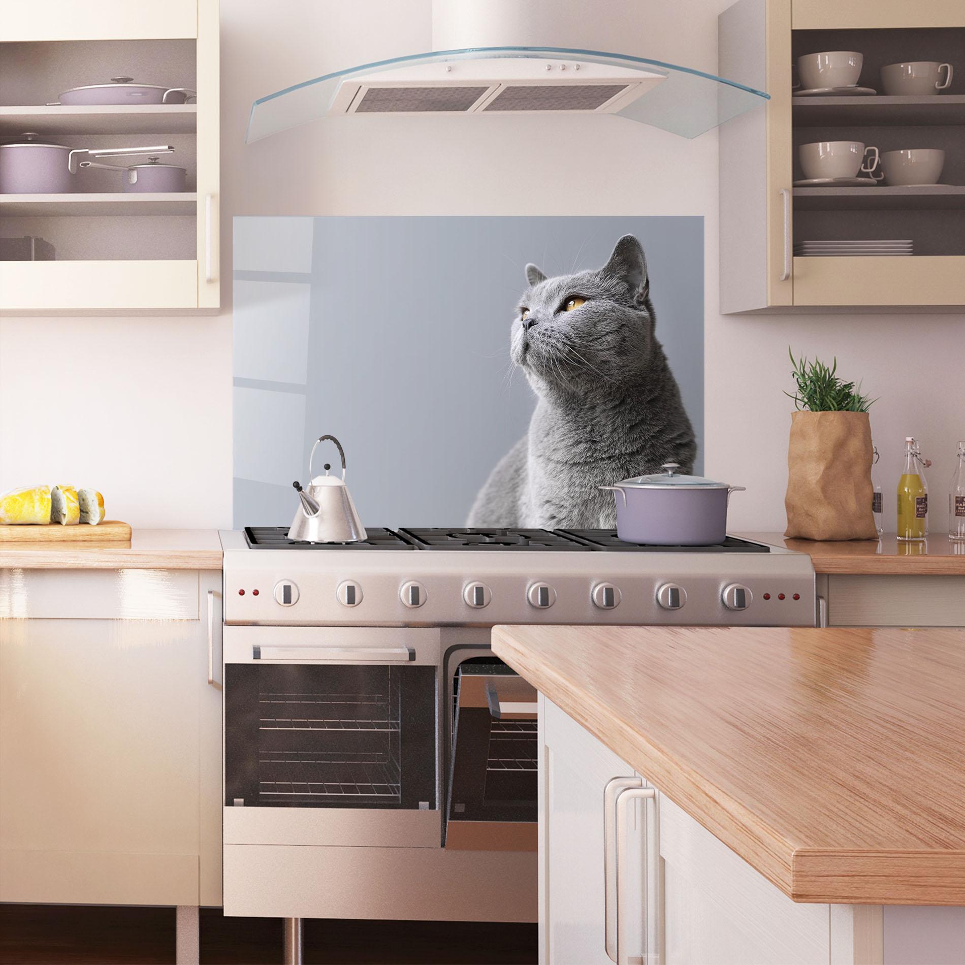 Panel Szklany do Kuchni Gray Kitty mockup 1