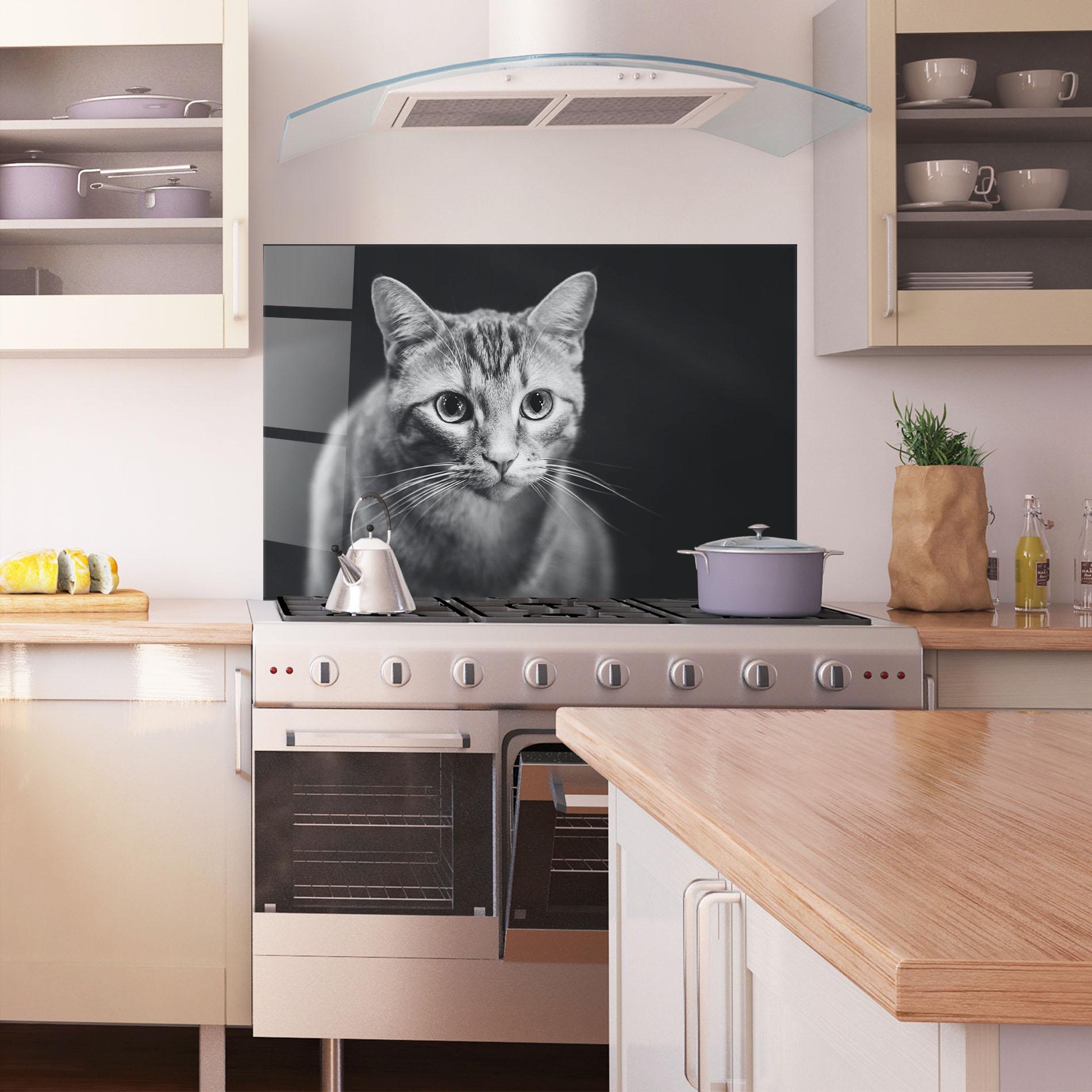 Panel Szklany do Kuchni Grey Kitty On Black mockup 1