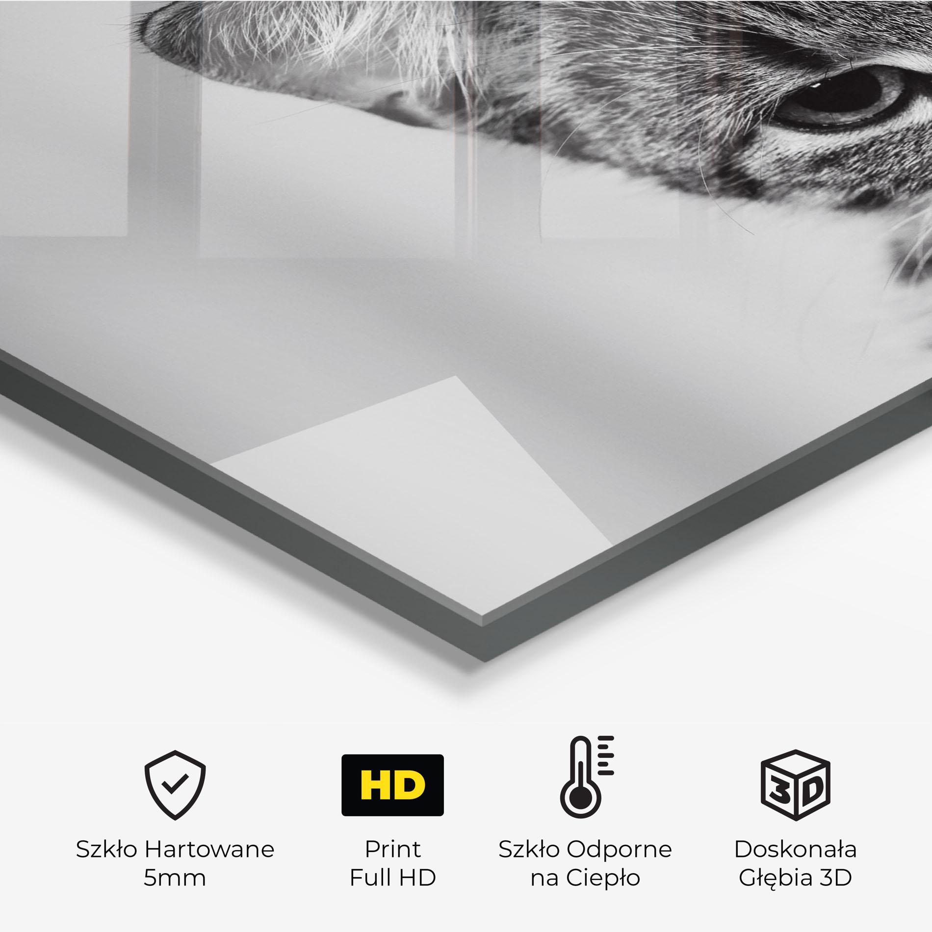 Panel Szklany do Kuchni Grey Focused Cat mockup 2