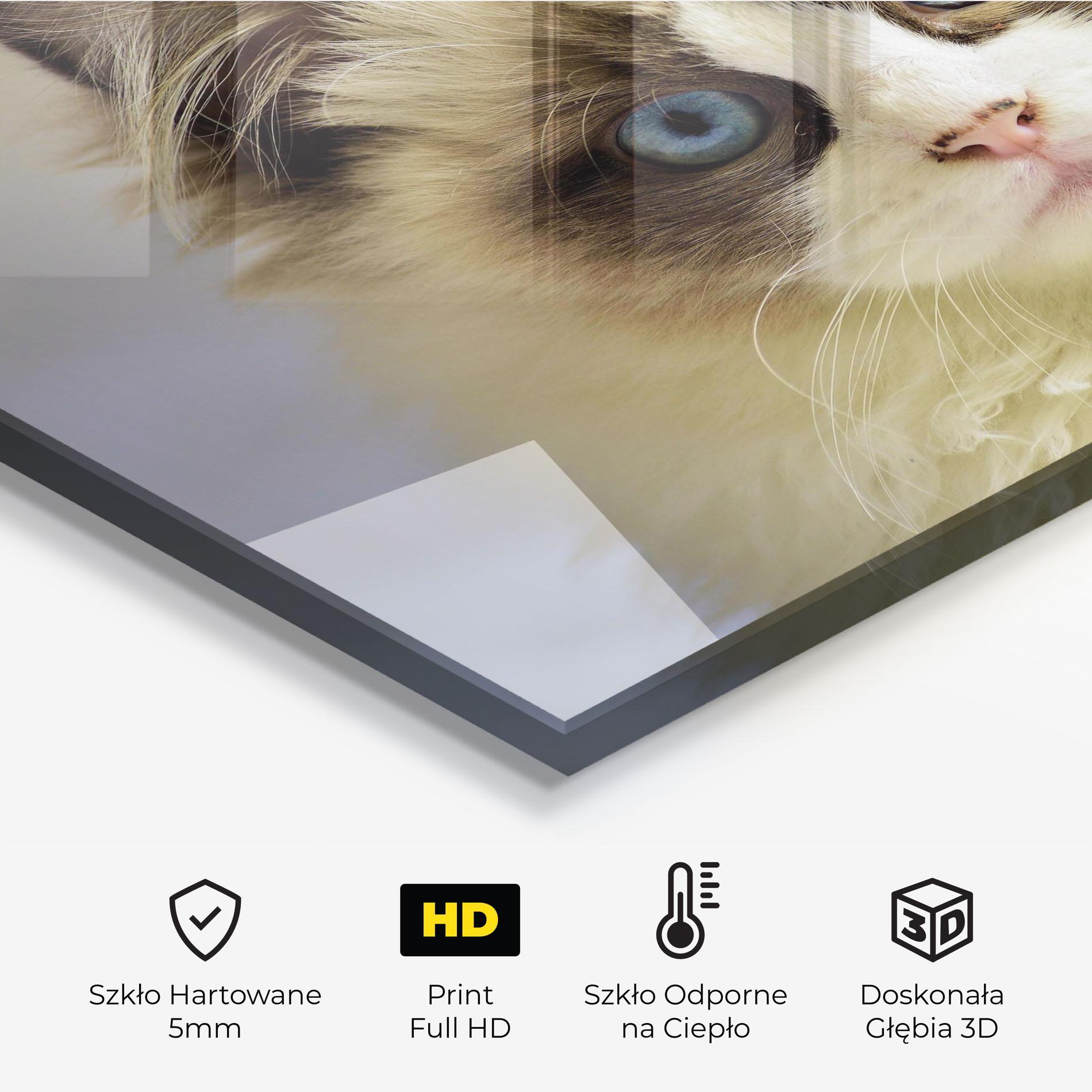 Panel Szklany do Kuchni Interesting Blue Eyes Cat mockup 2