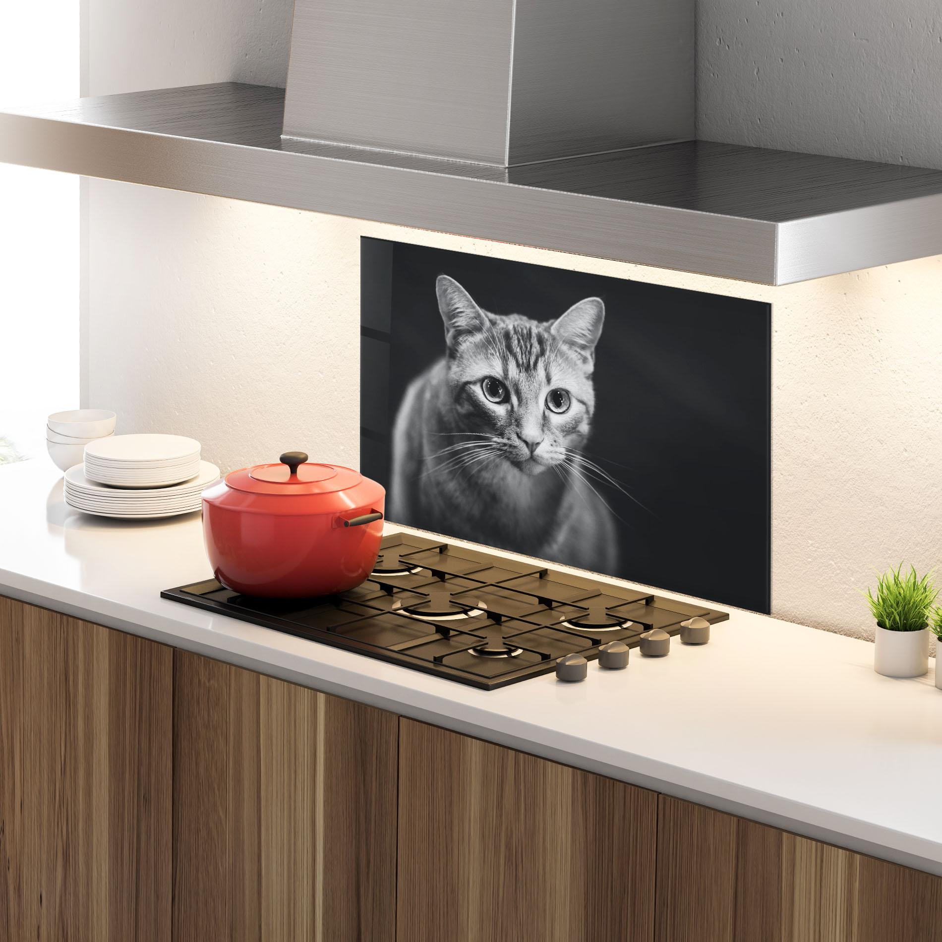 Panel Szklany do Kuchni Grey Kitty On Black mockup 4